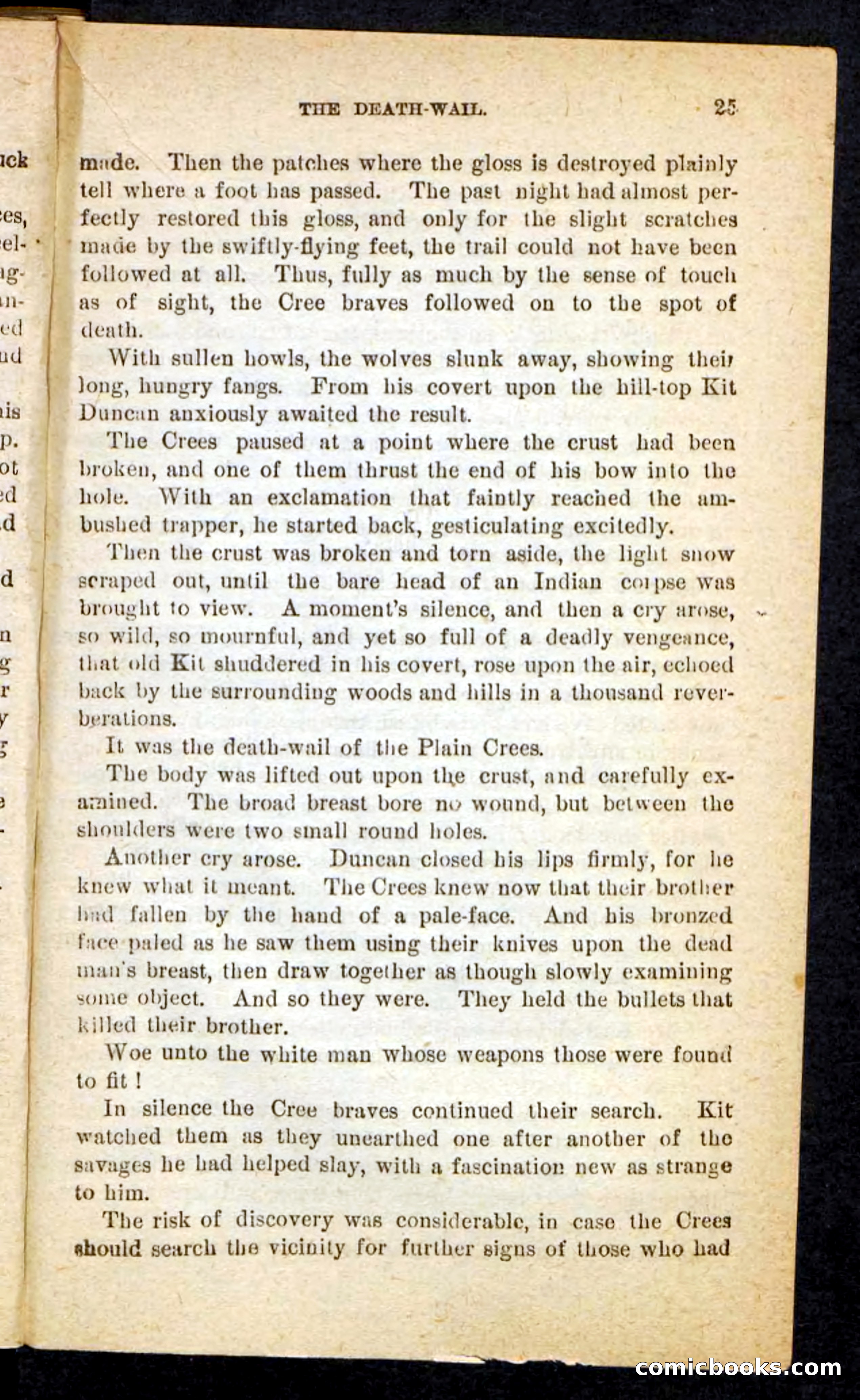 The Lone Chief — page 21 of 100