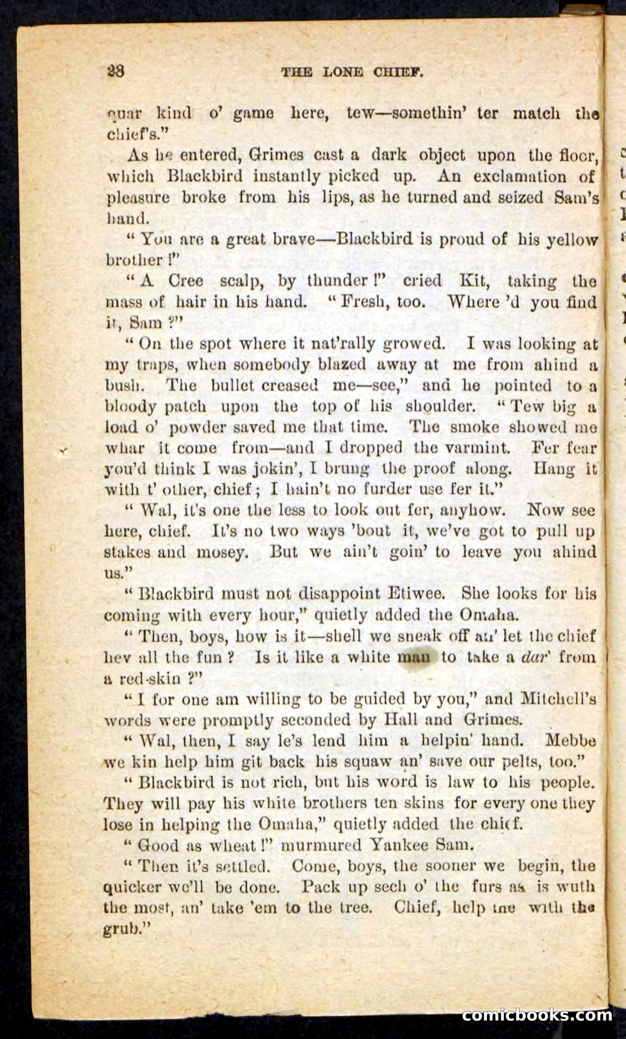 The Lone Chief — page 24 of 100