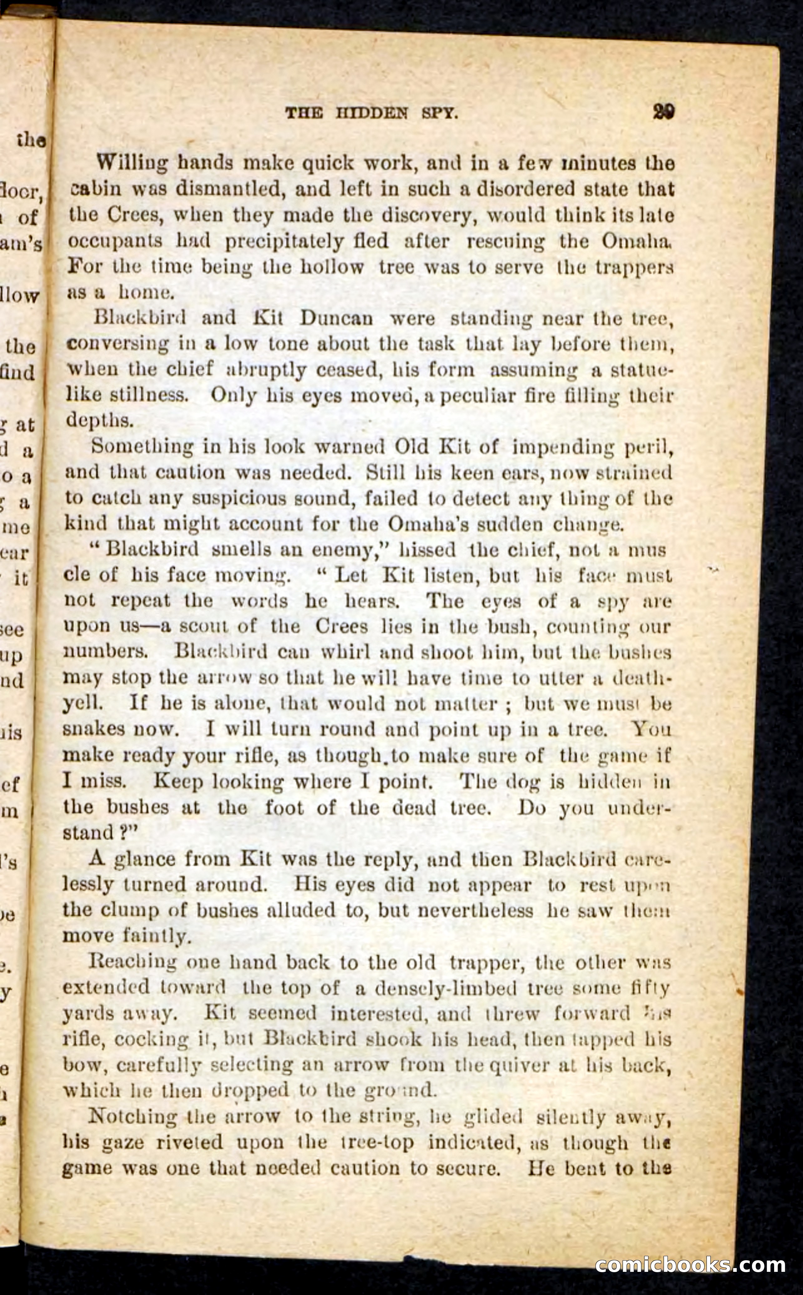 The Lone Chief — page 25 of 100