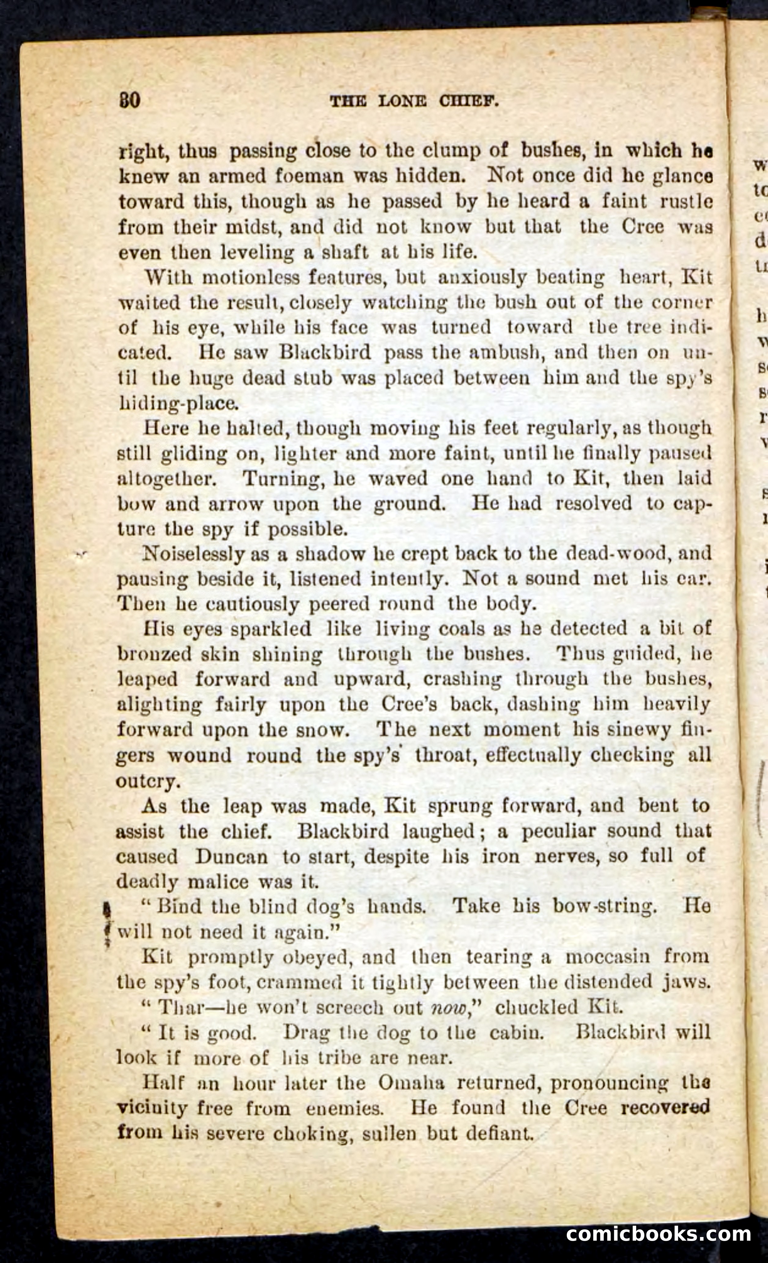 The Lone Chief — page 26 of 100