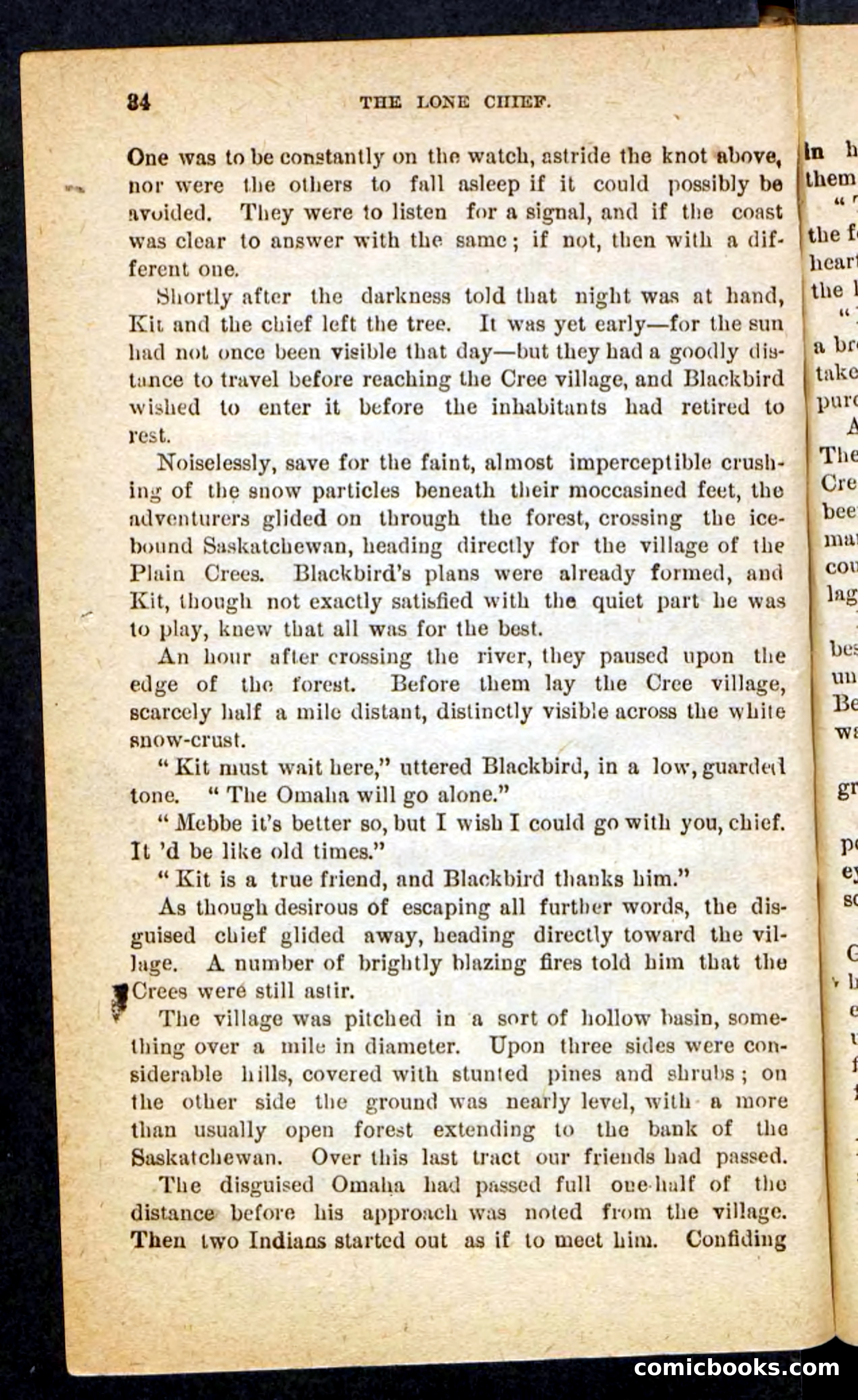 The Lone Chief — page 30 of 100