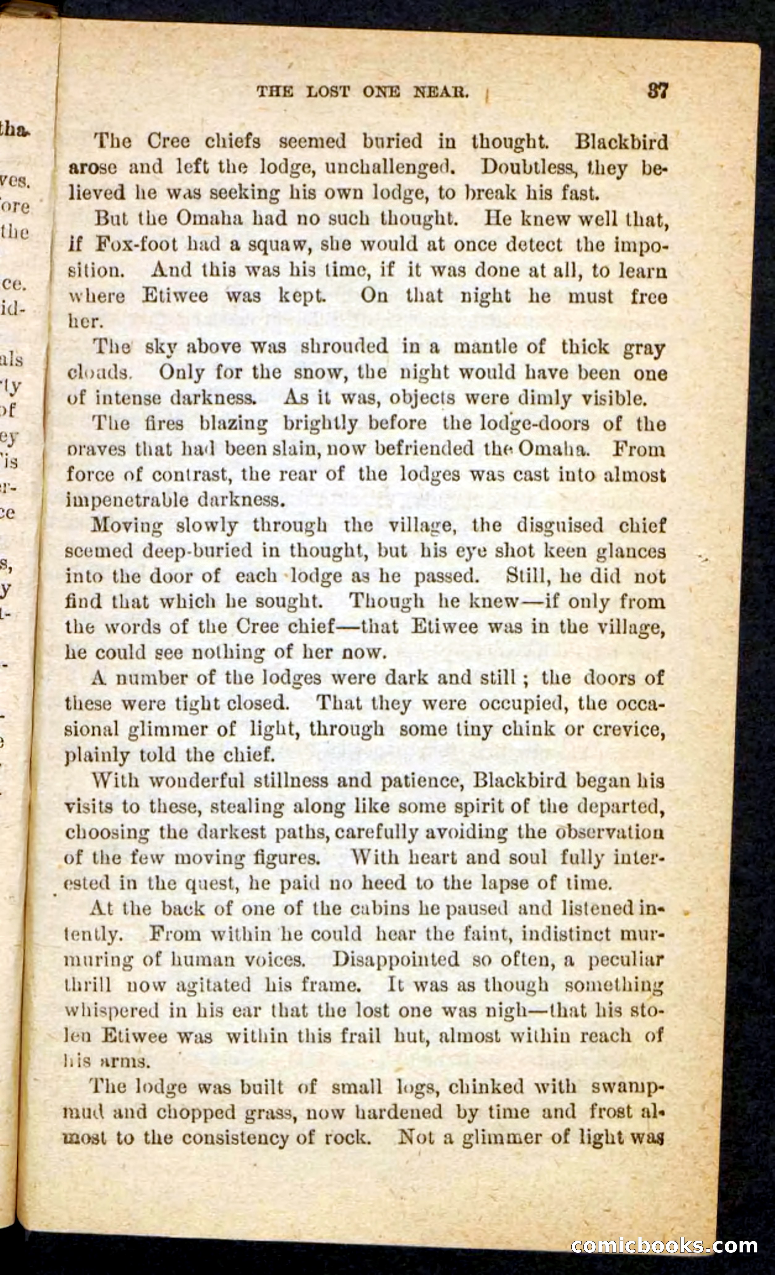 The Lone Chief — page 33 of 100