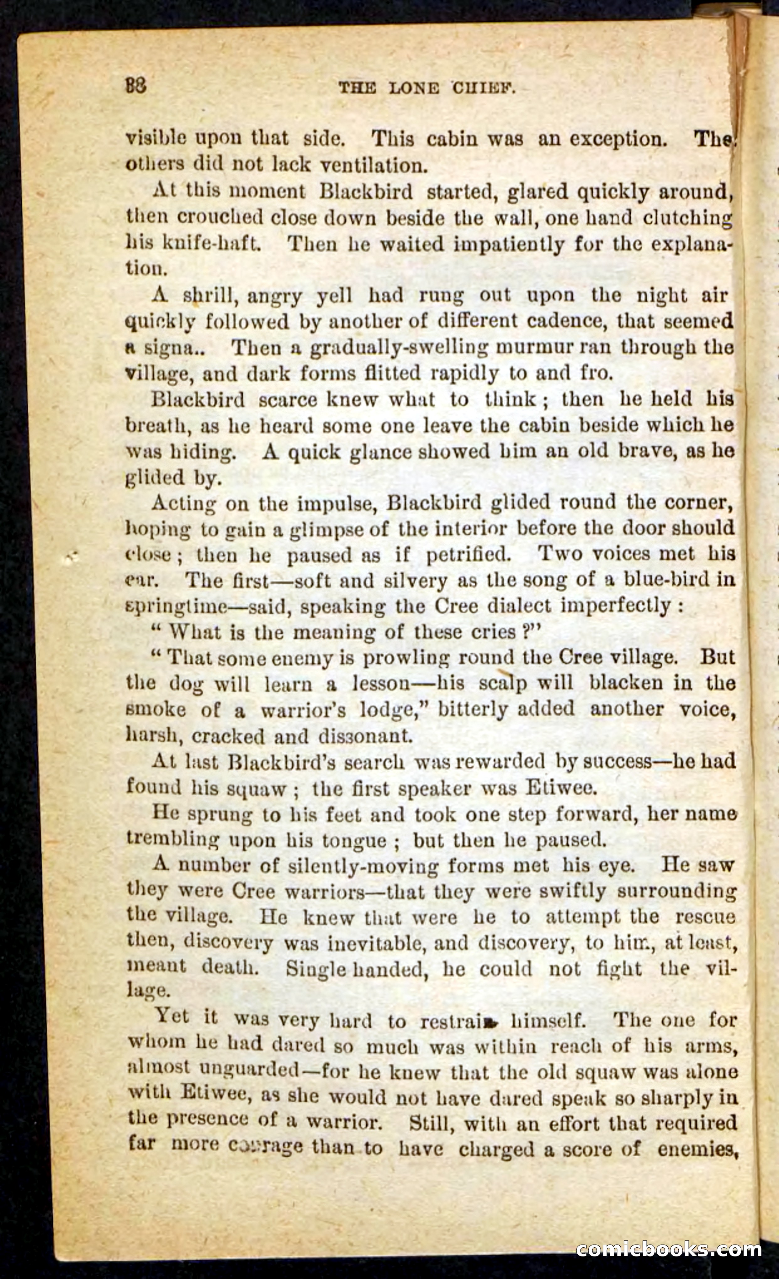 The Lone Chief — page 34 of 100