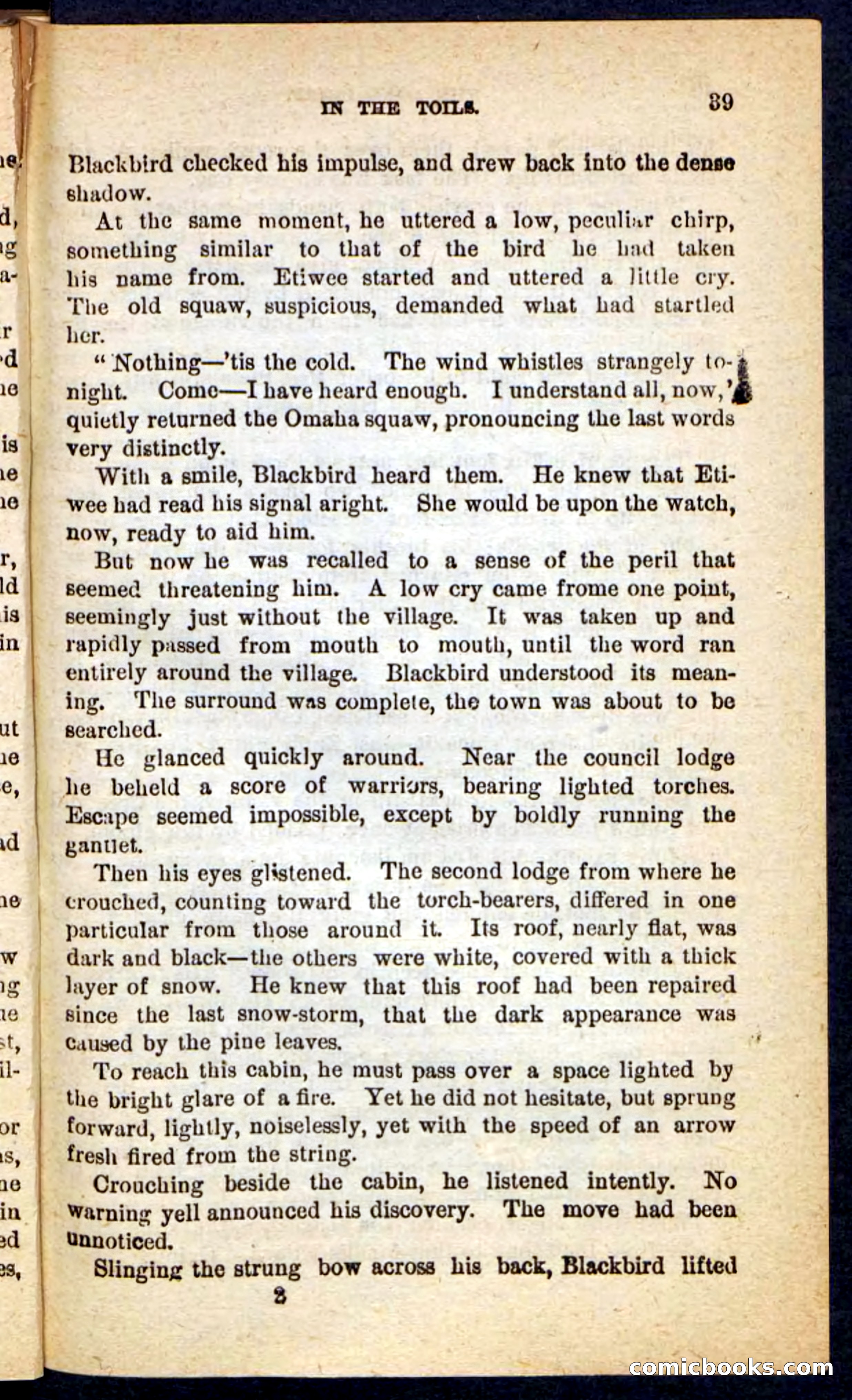 The Lone Chief — page 35 of 100