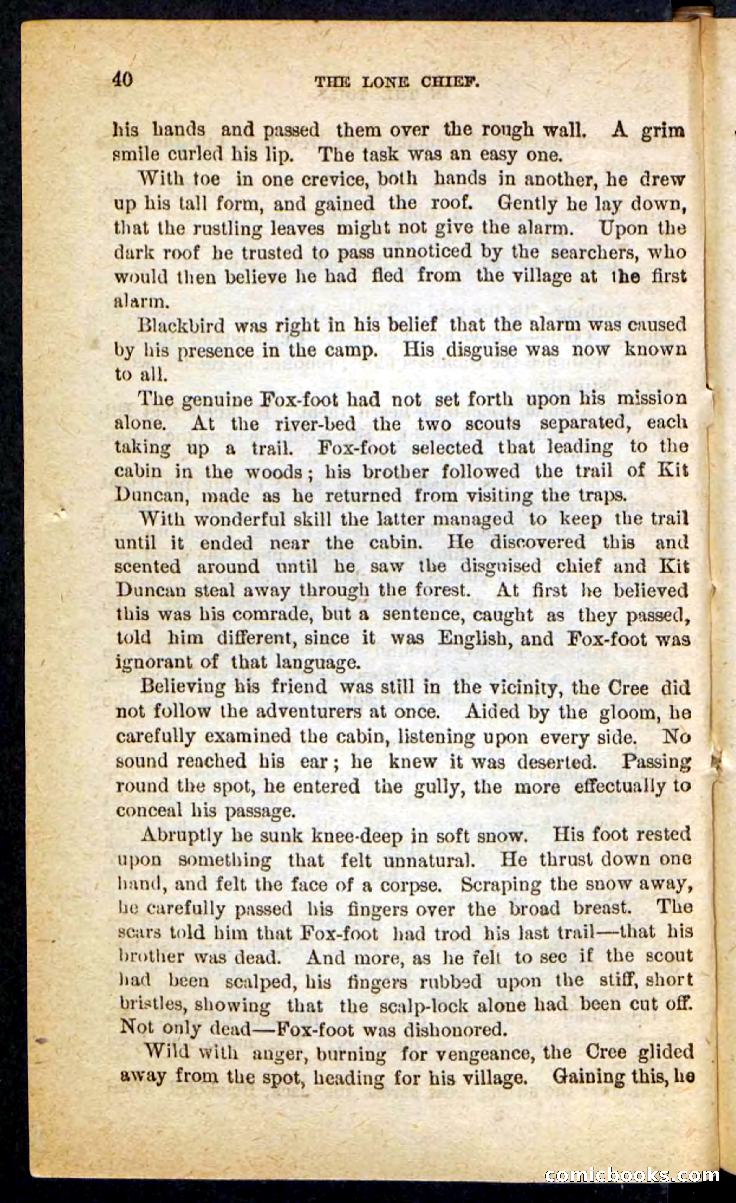 The Lone Chief — page 36 of 100