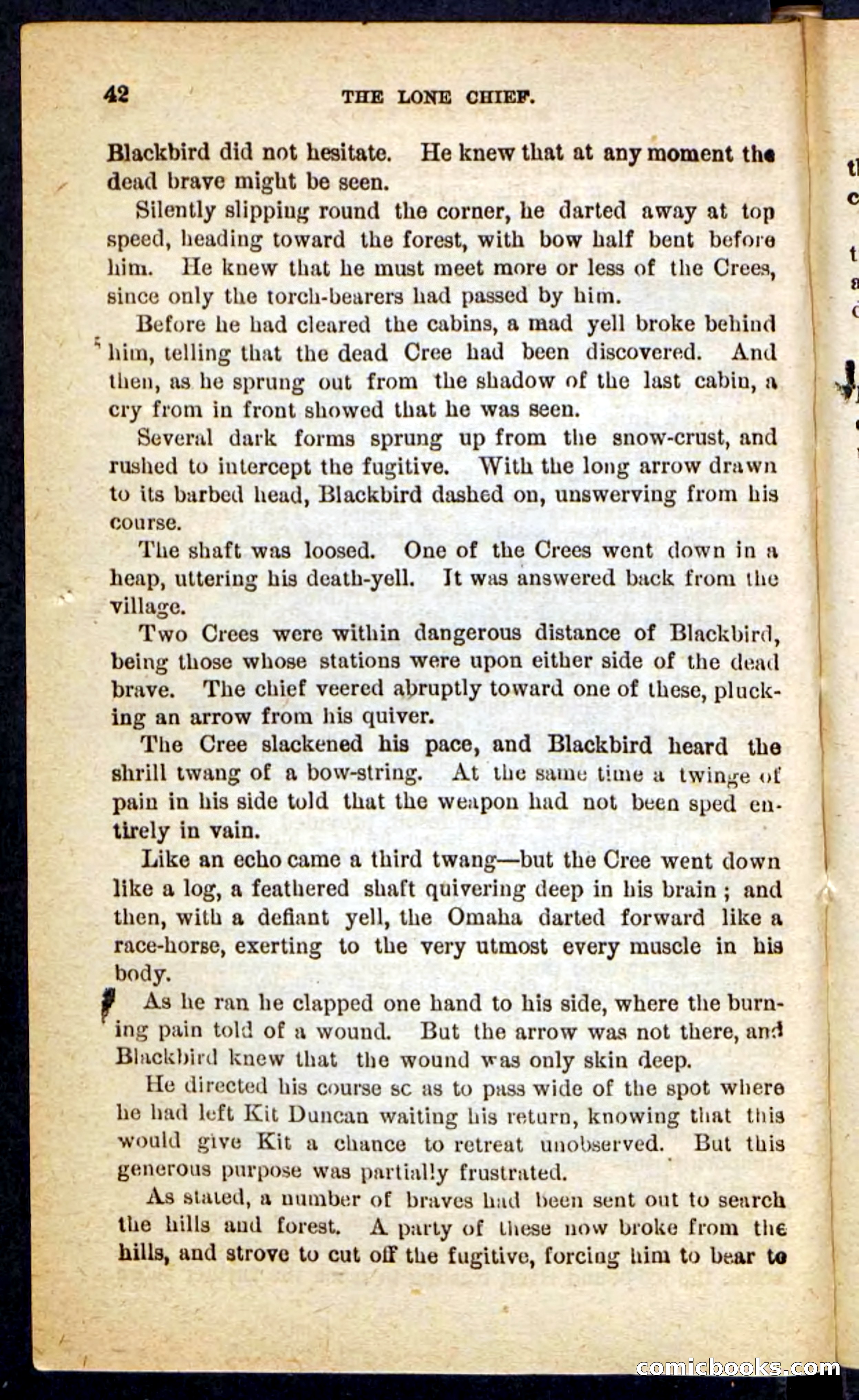 The Lone Chief — page 38 of 100