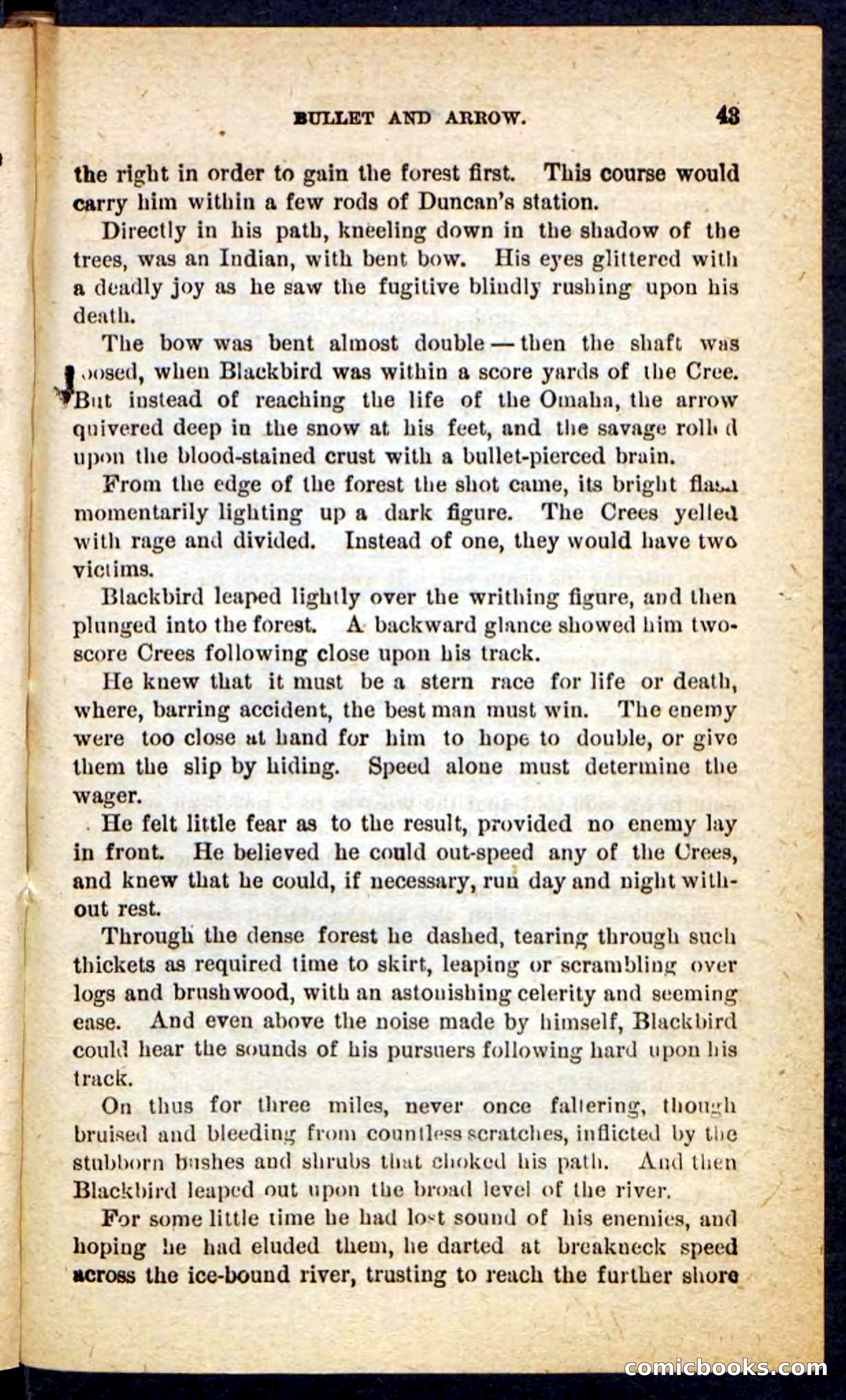 The Lone Chief — page 39 of 100
