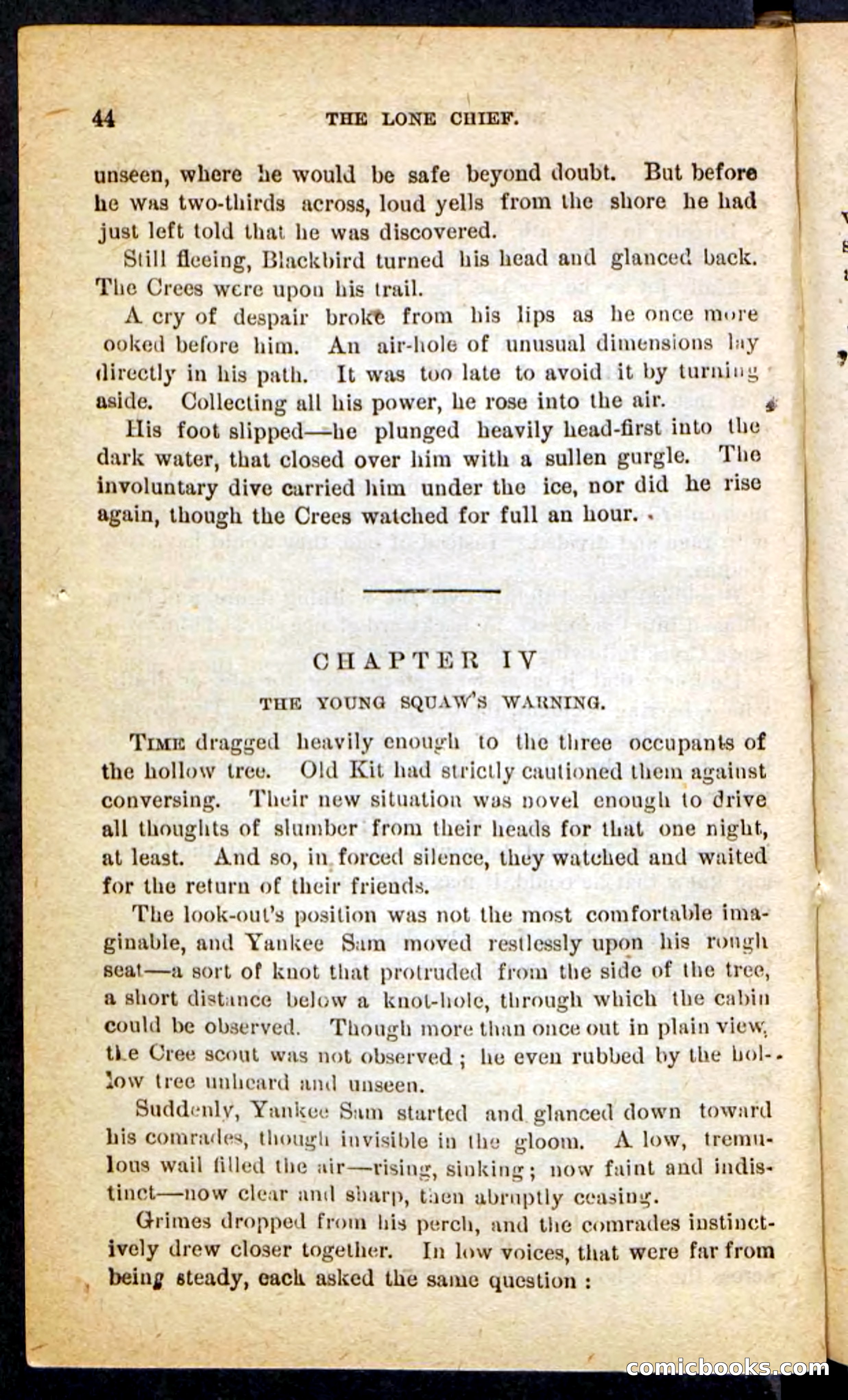 The Lone Chief — page 40 of 100
