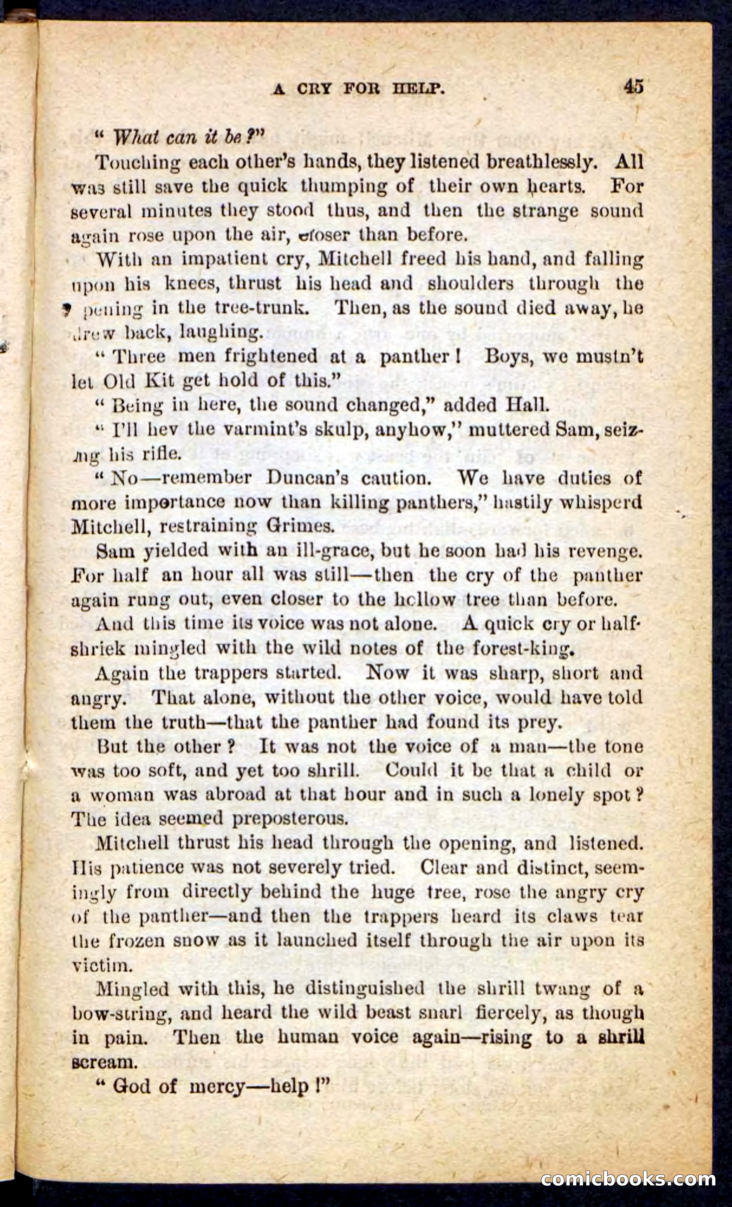The Lone Chief — page 41 of 100