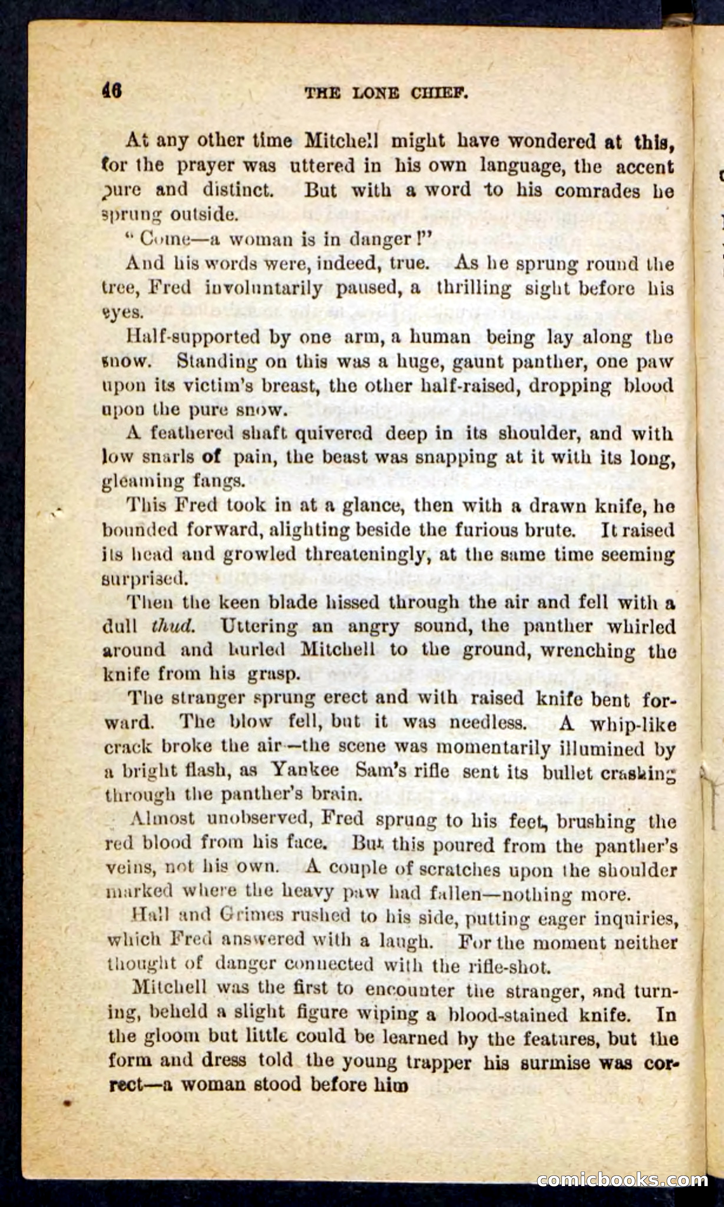 The Lone Chief — page 42 of 100