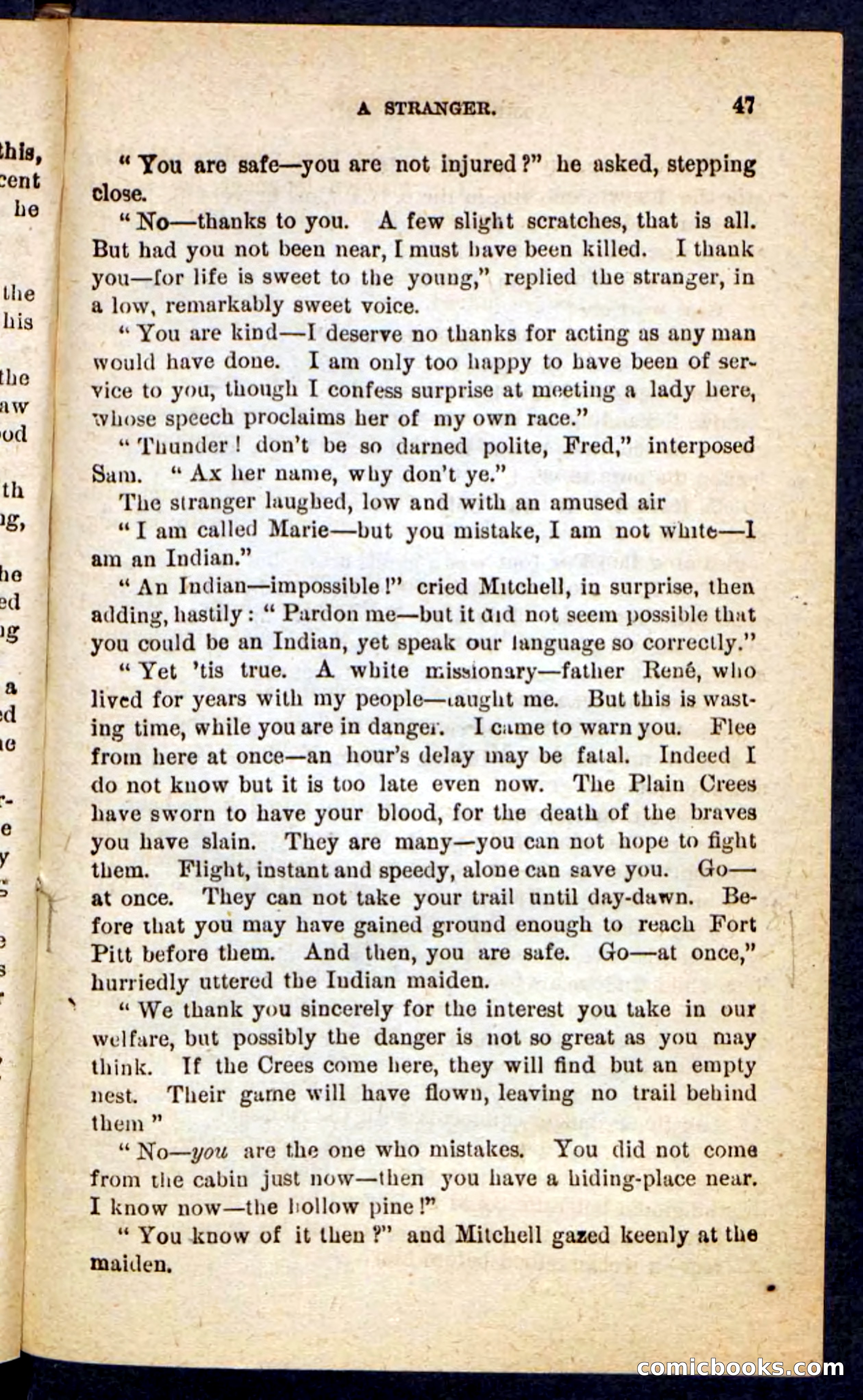 The Lone Chief — page 43 of 100