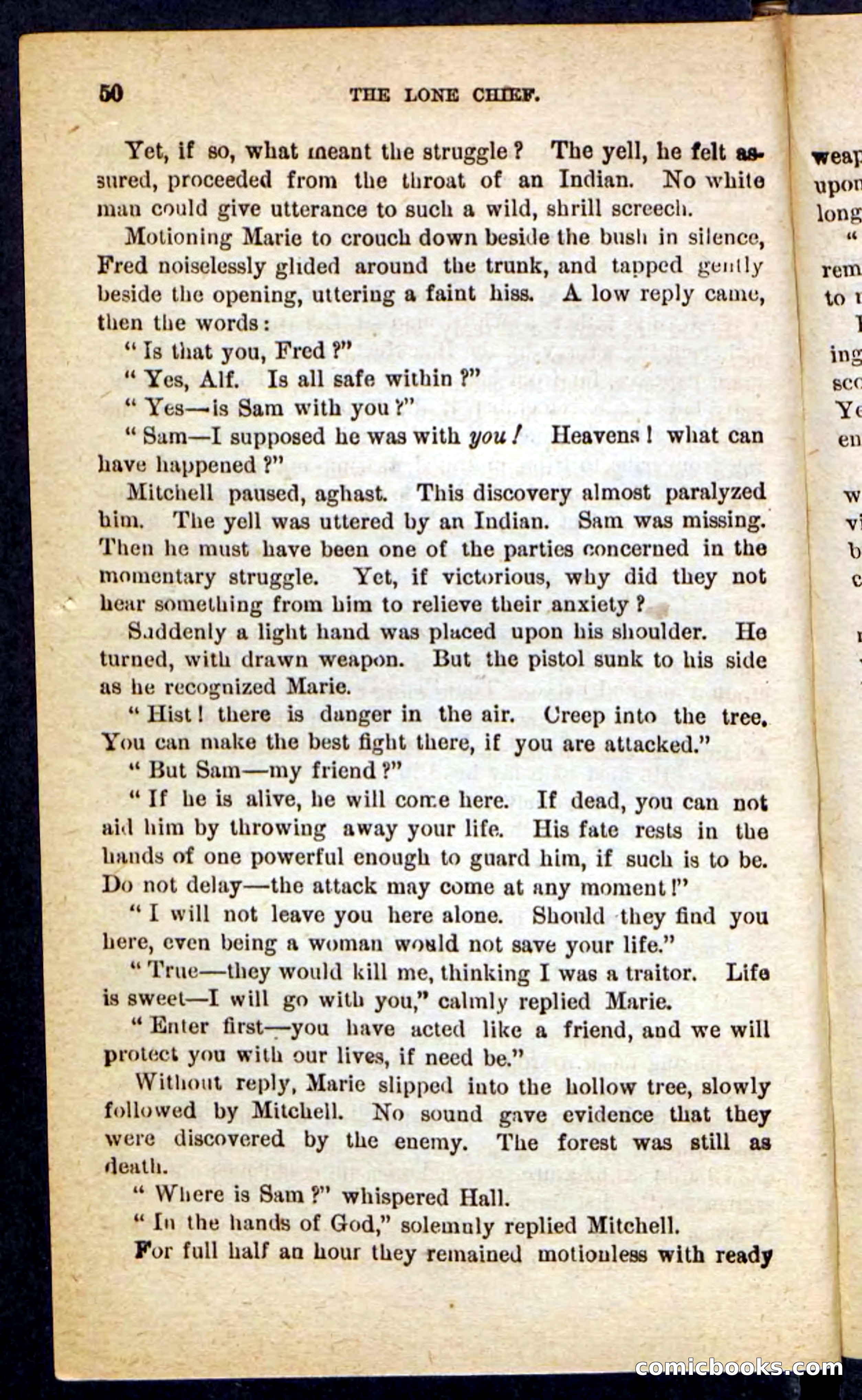 The Lone Chief — page 46 of 100