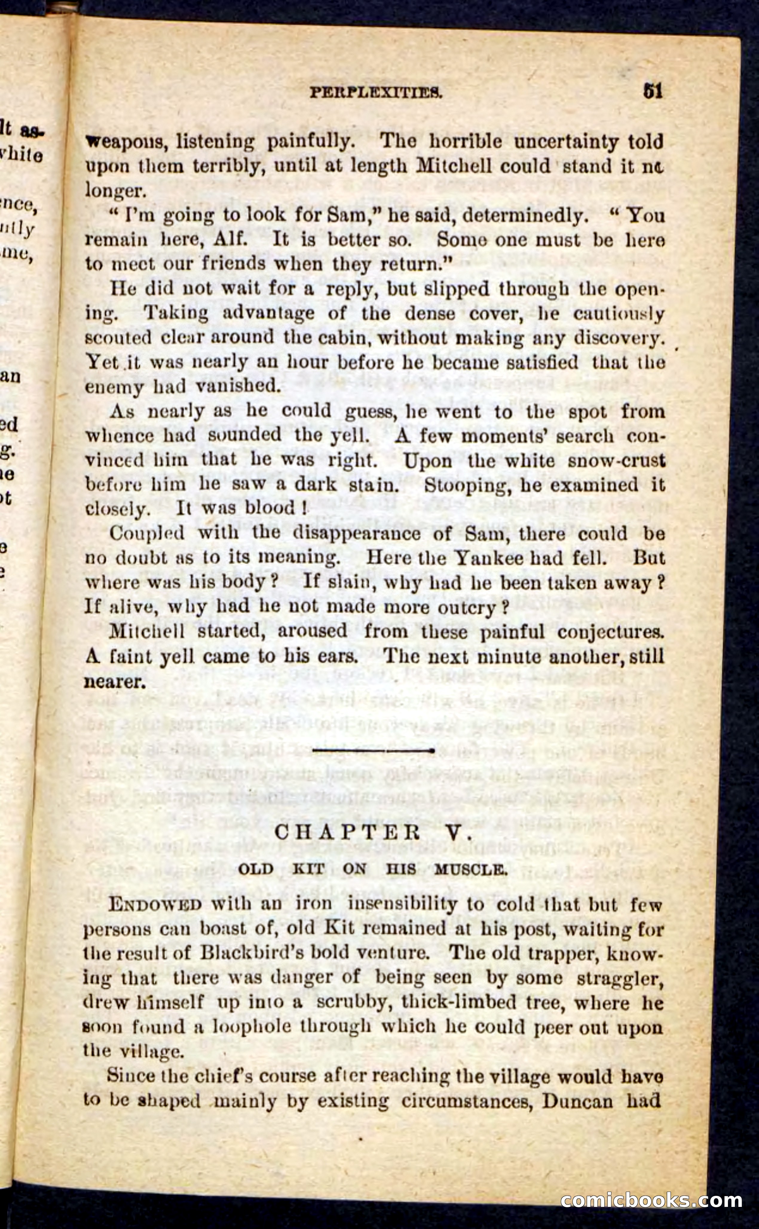 The Lone Chief — page 47 of 100