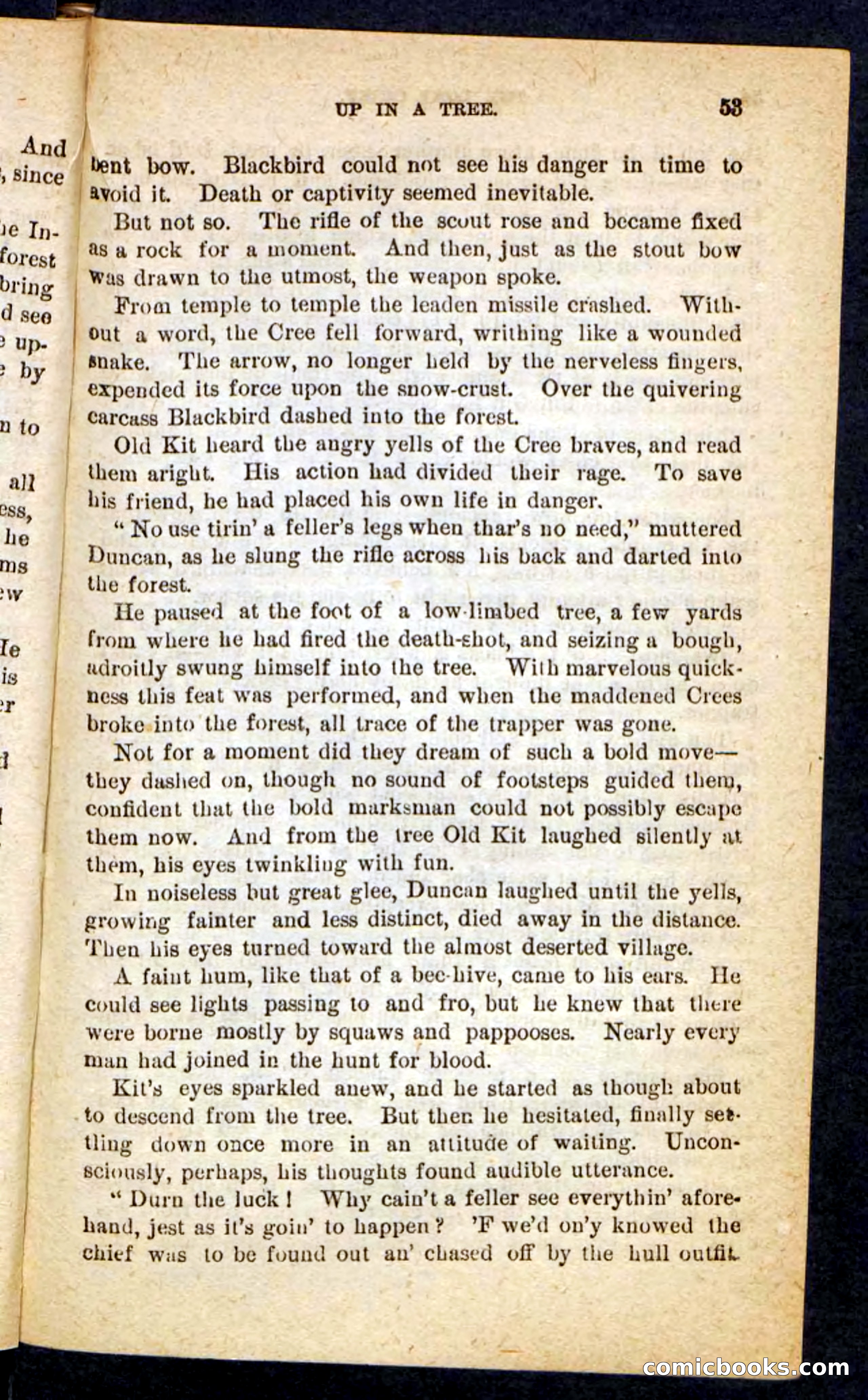 The Lone Chief — page 49 of 100