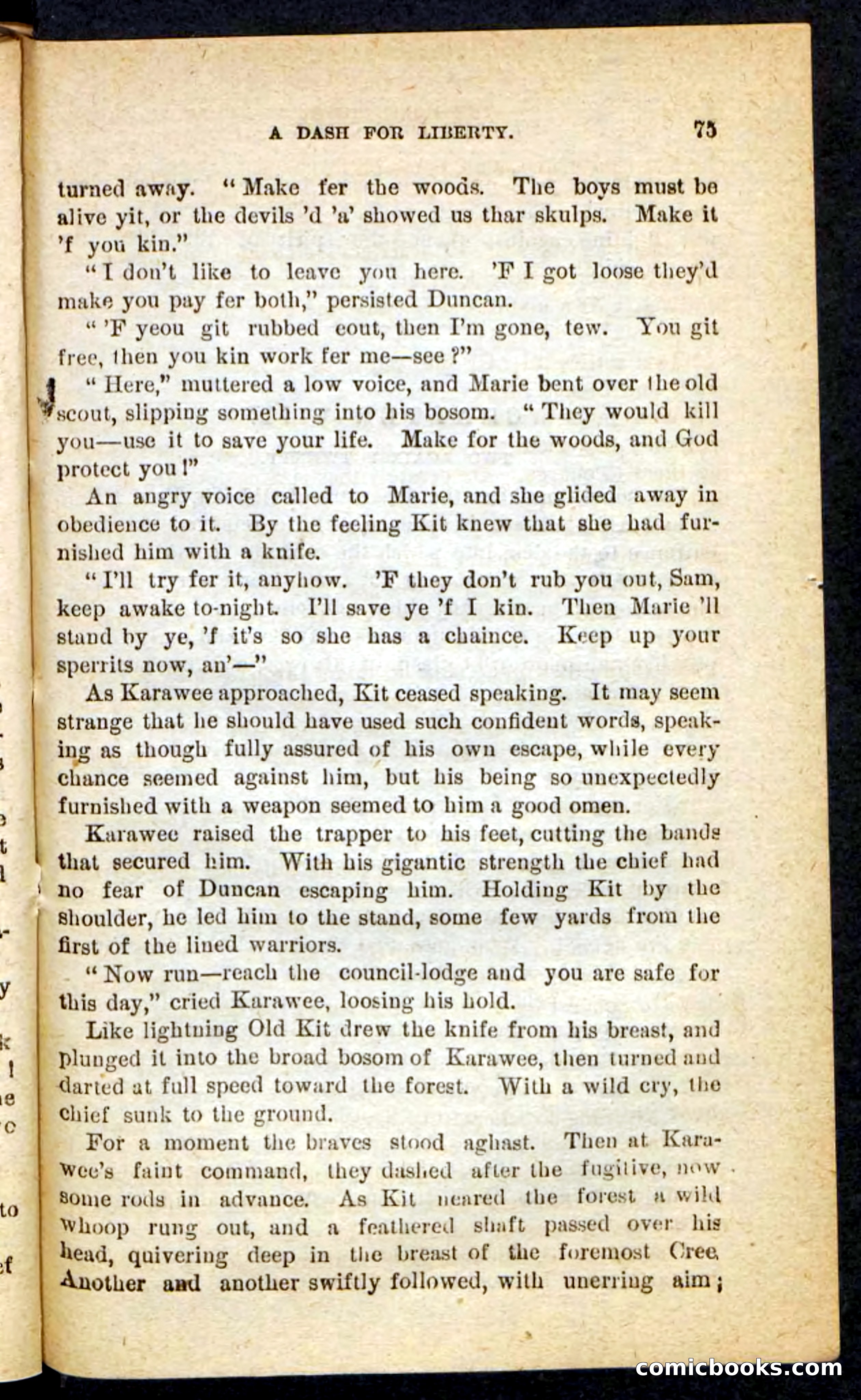 The Lone Chief — page 71 of 100