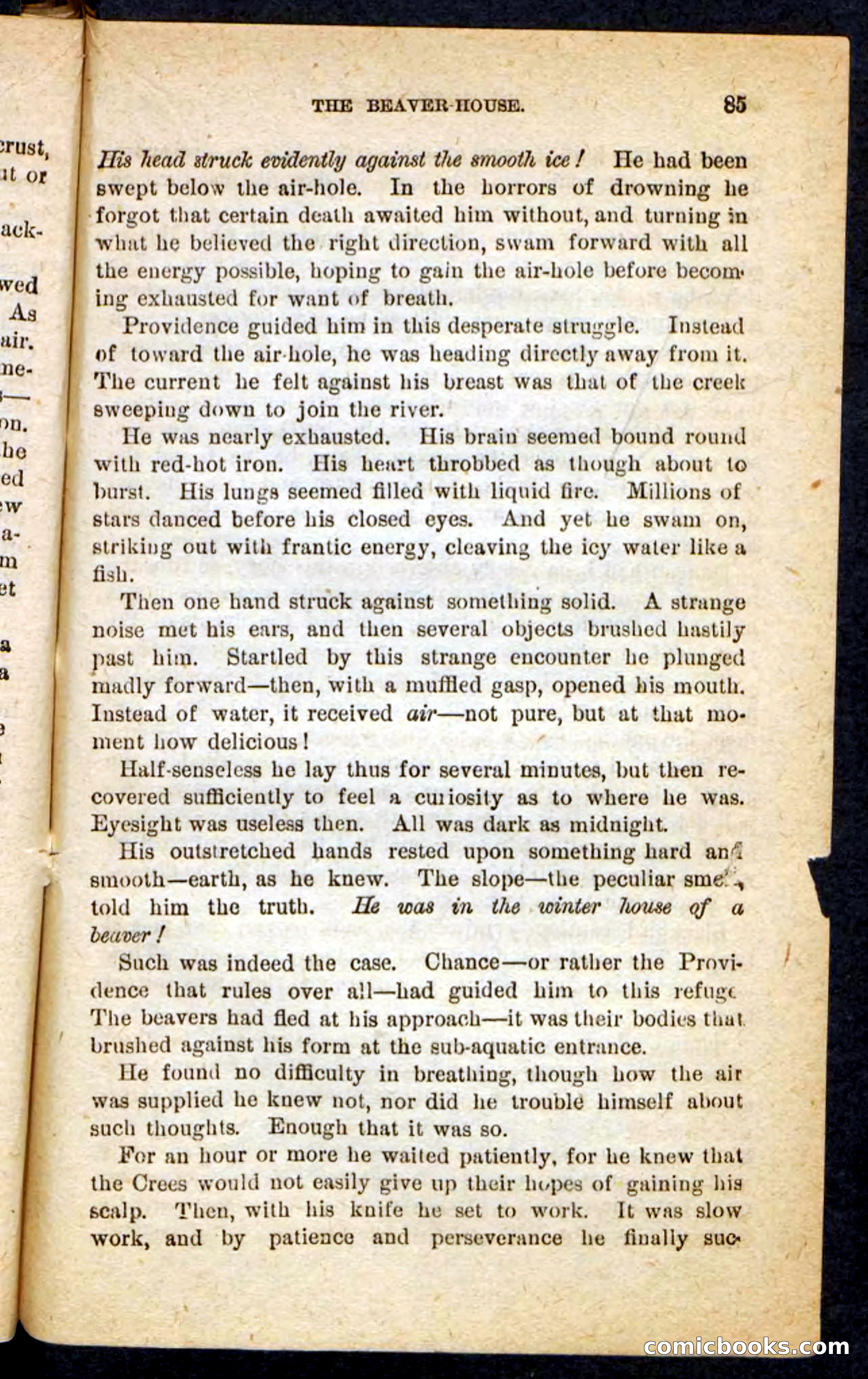 The Lone Chief — page 81 of 100