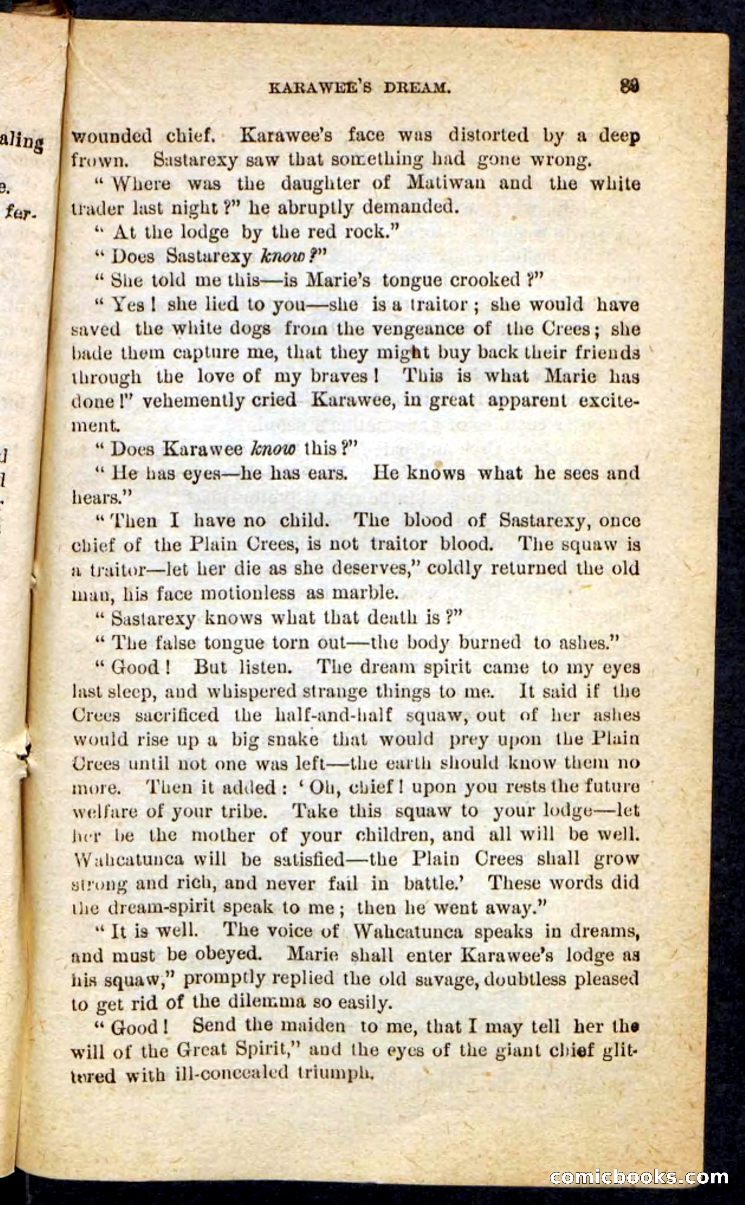The Lone Chief — page 85 of 100