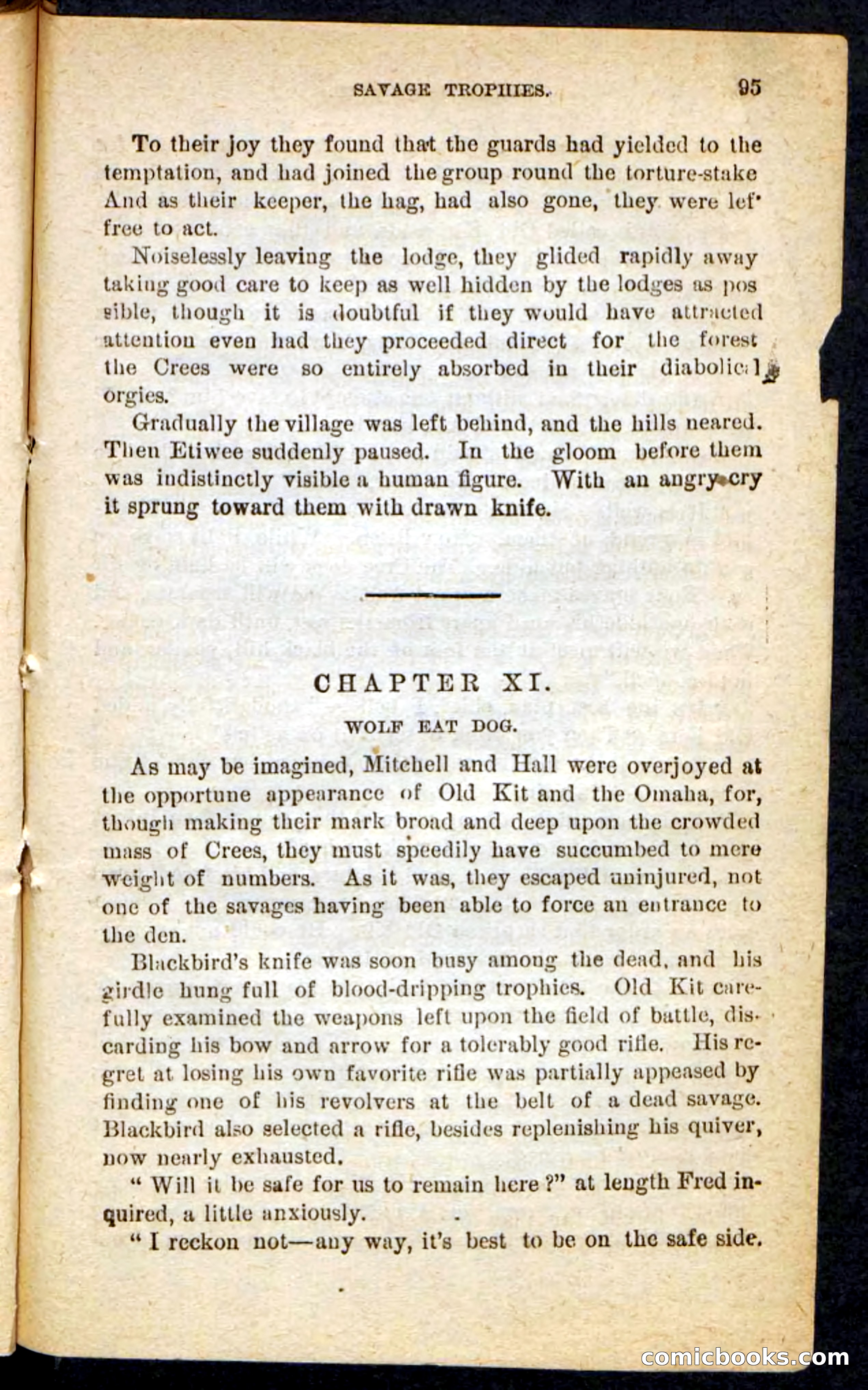The Lone Chief — page 91 of 100