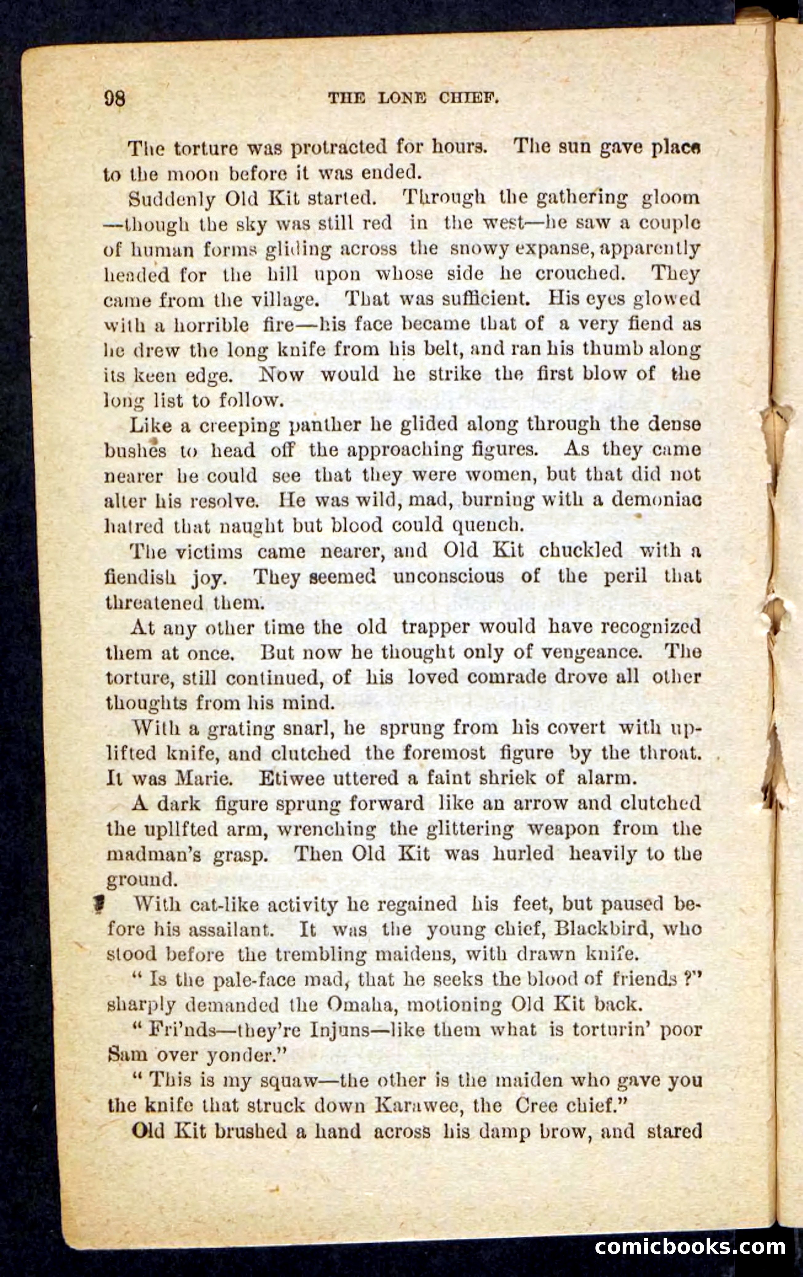 The Lone Chief — page 94 of 100