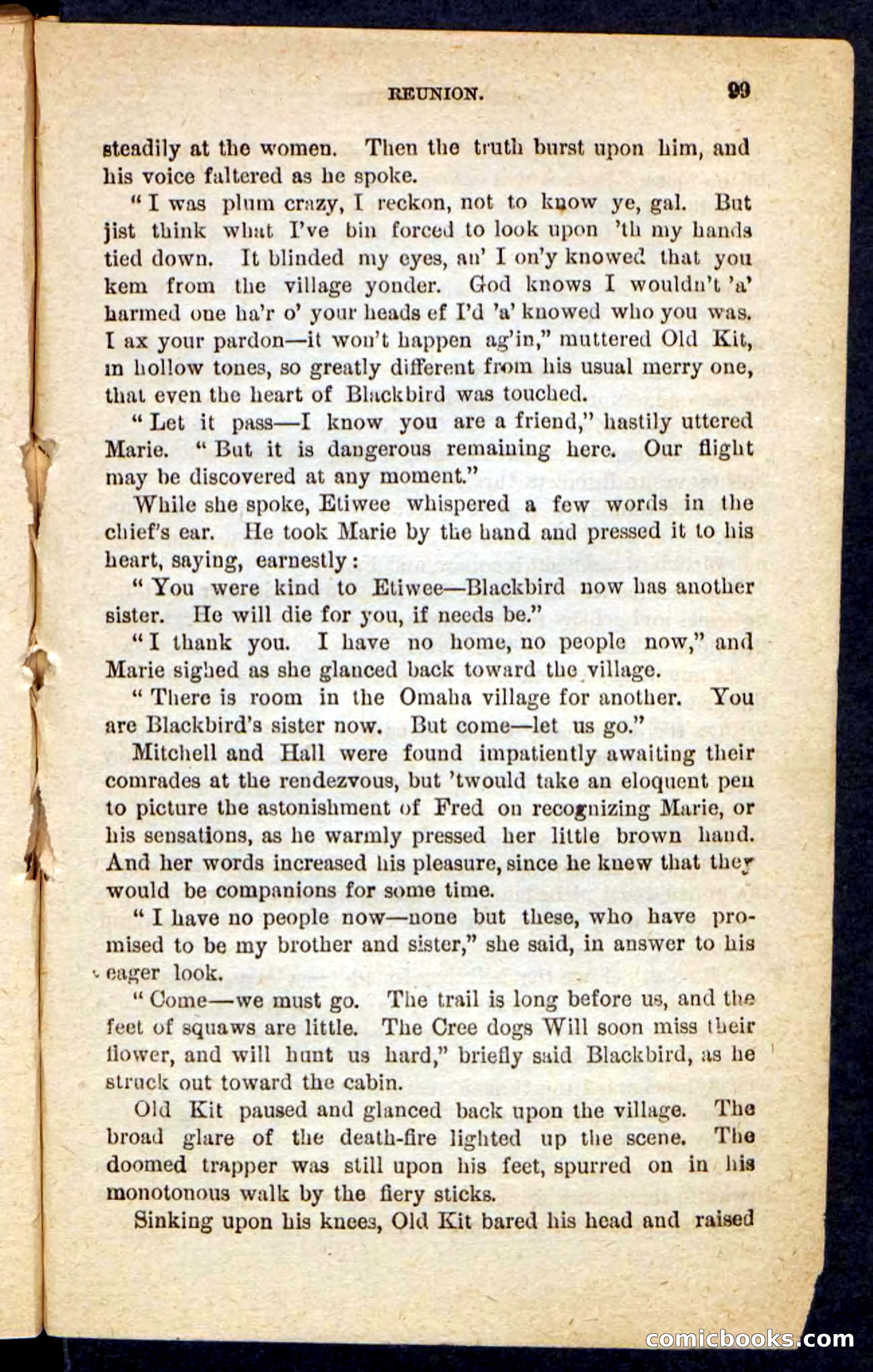 The Lone Chief — page 95 of 100