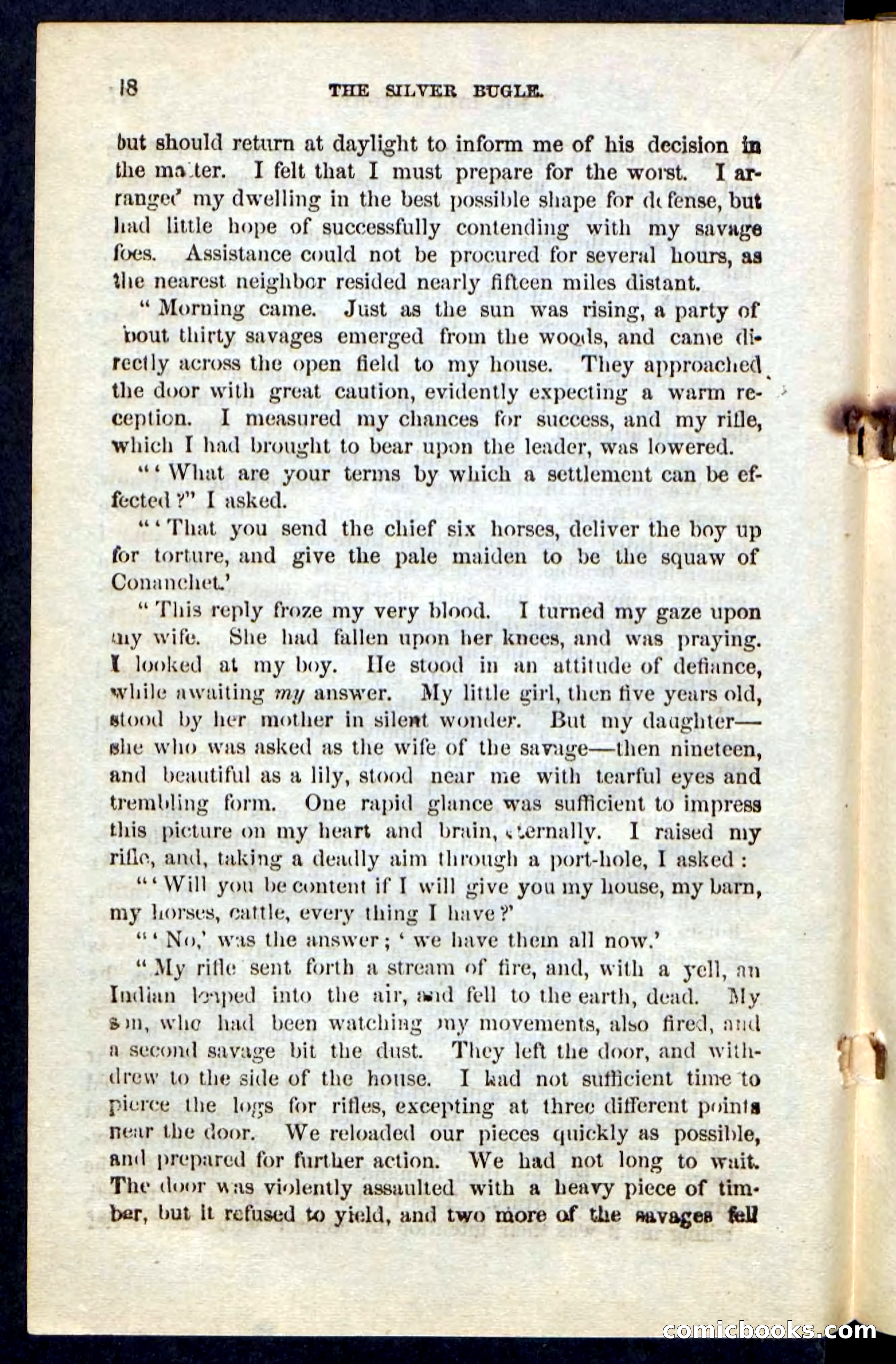 The Silver Bugle — page 14 of 100