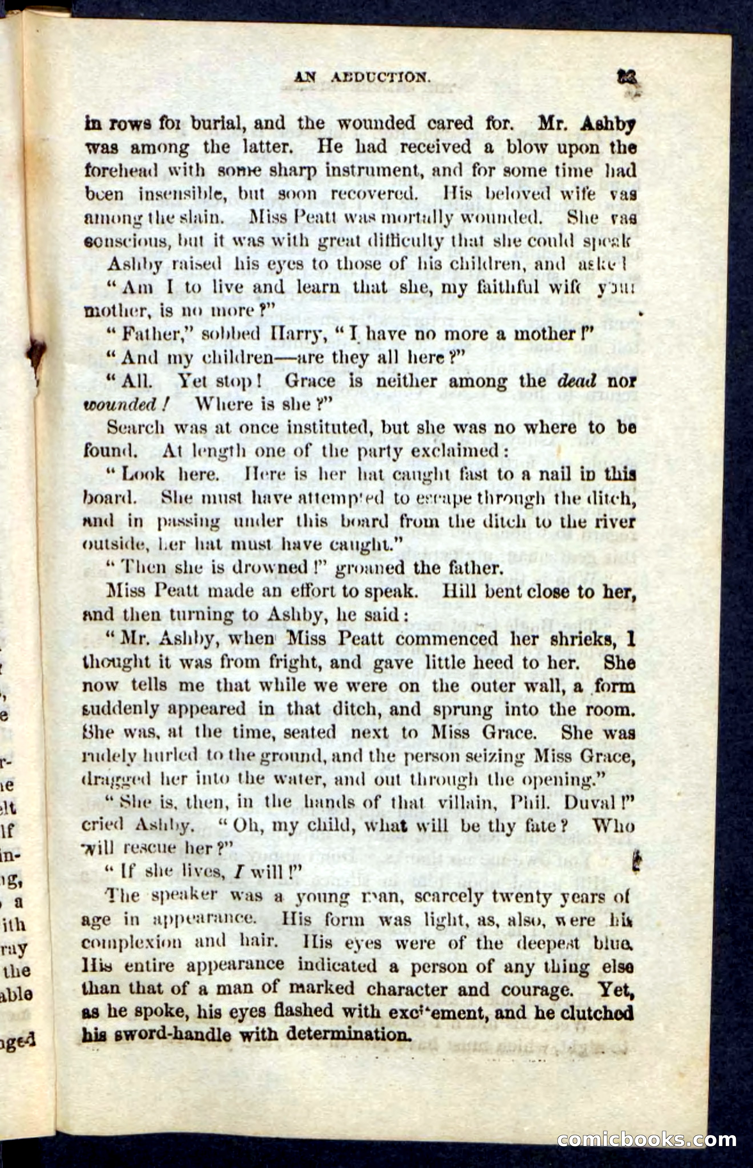 The Silver Bugle — page 29 of 100