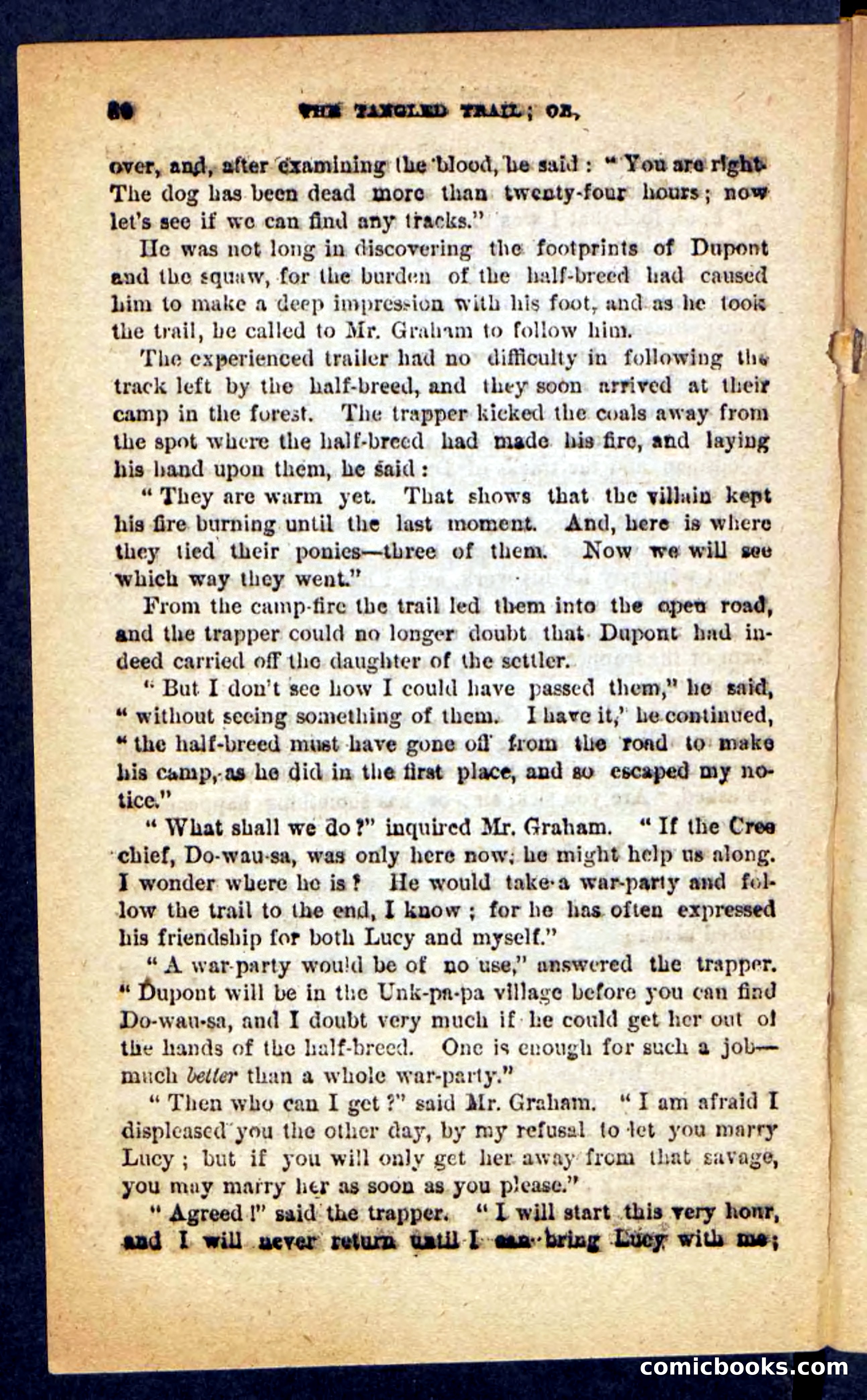 The Tangled Trail — page 26 of 100