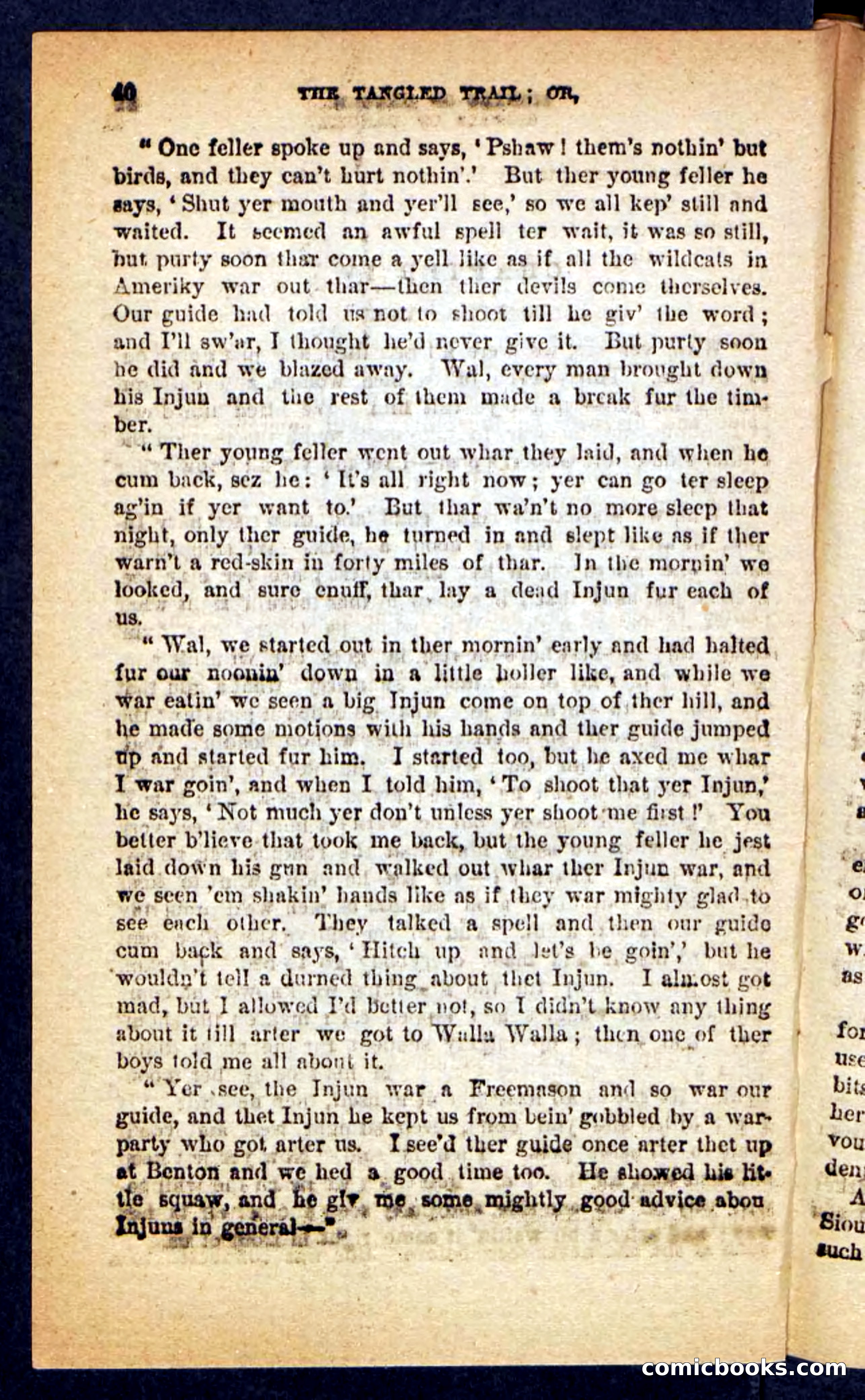 The Tangled Trail — page 36 of 100