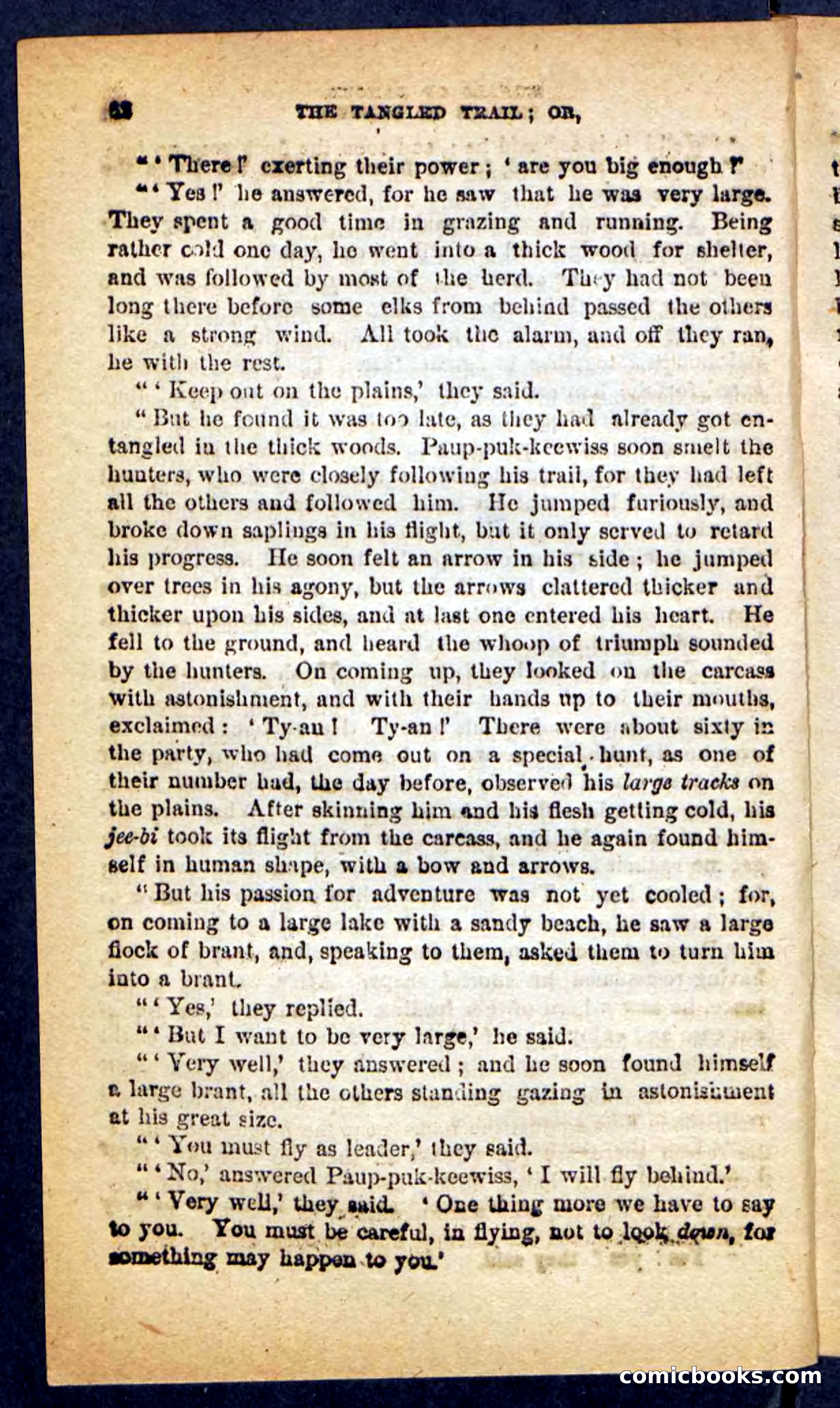 The Tangled Trail — page 58 of 100