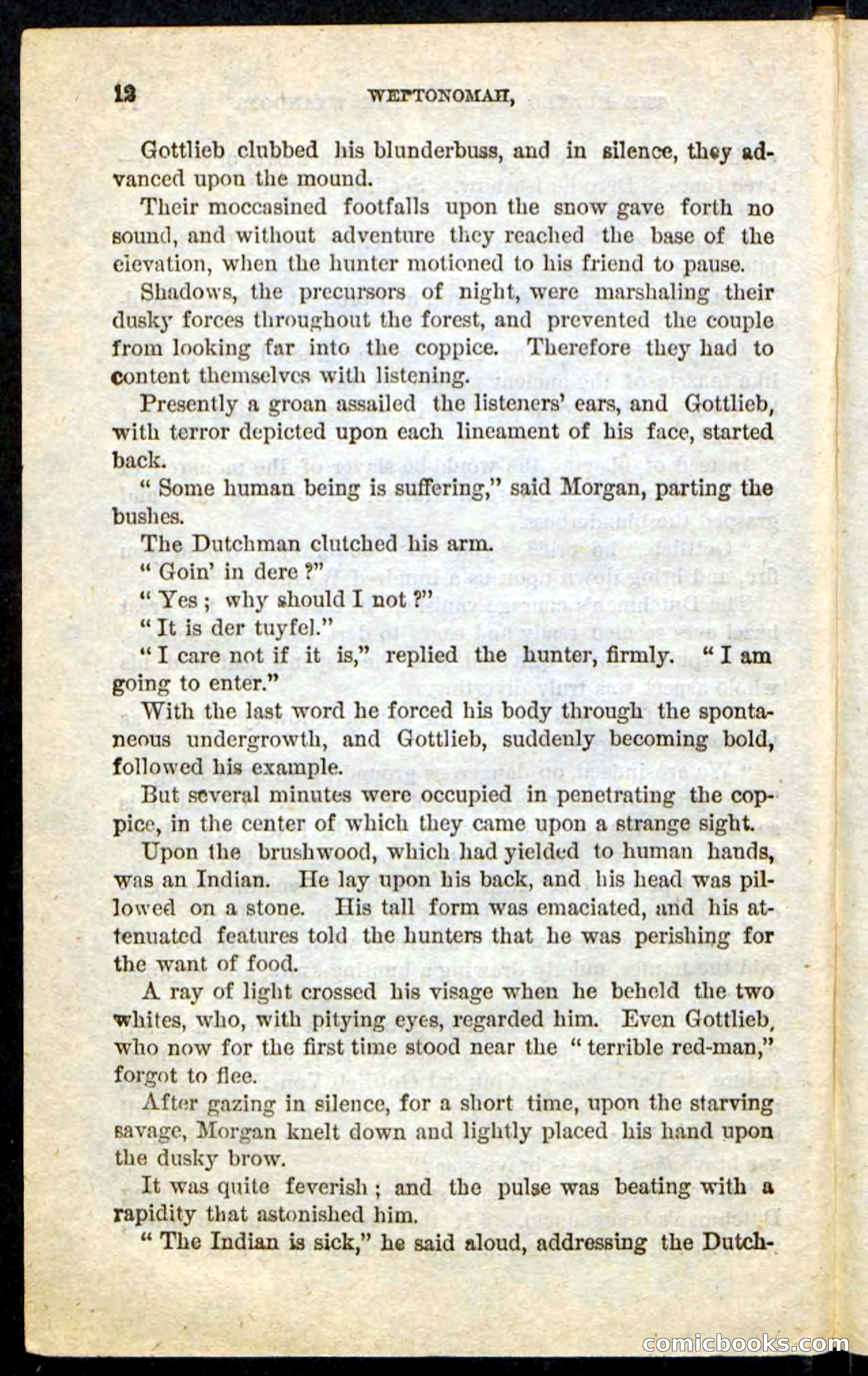 The Lone Indian — page 8 of 100