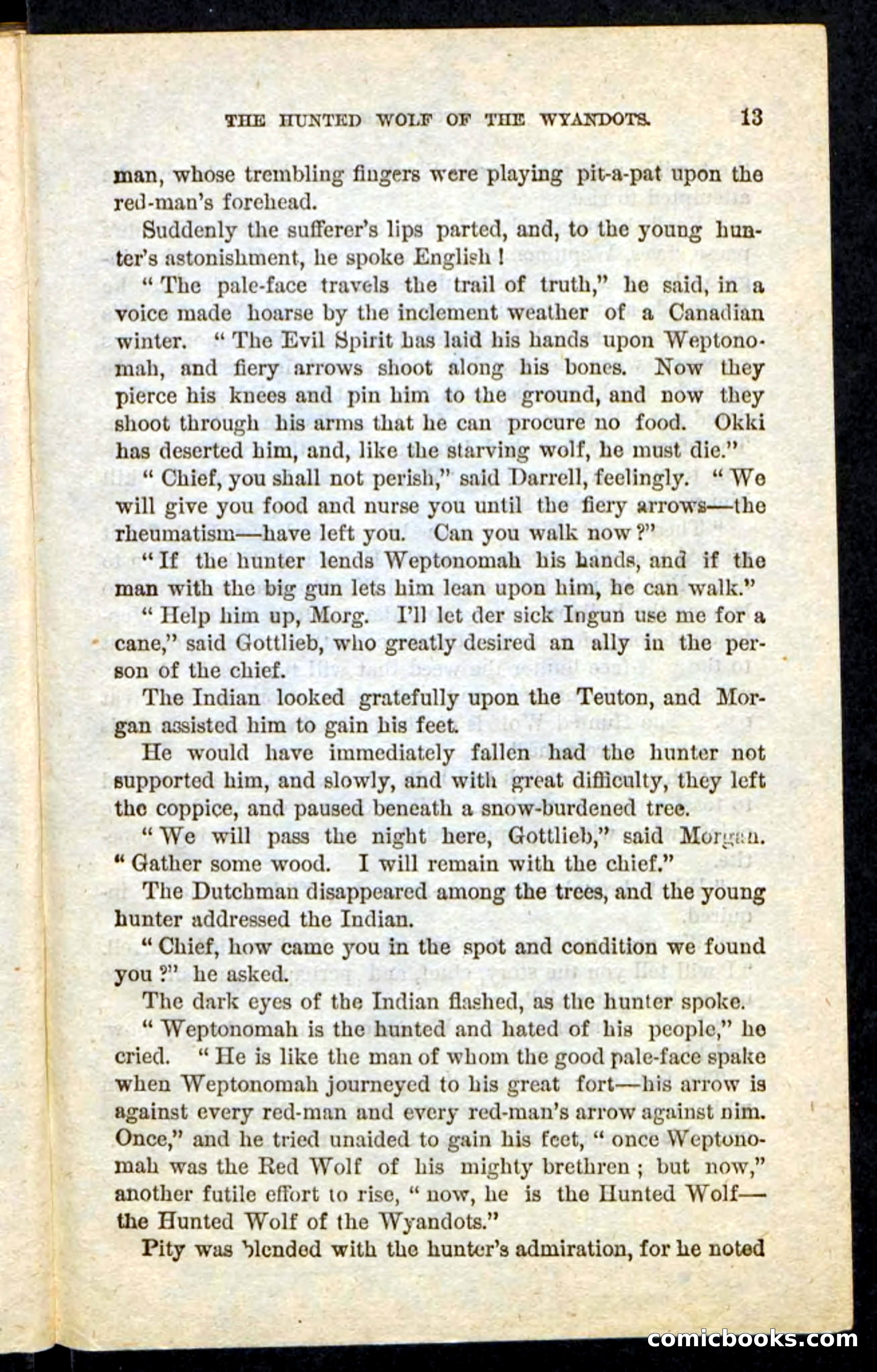 The Lone Indian — page 9 of 100