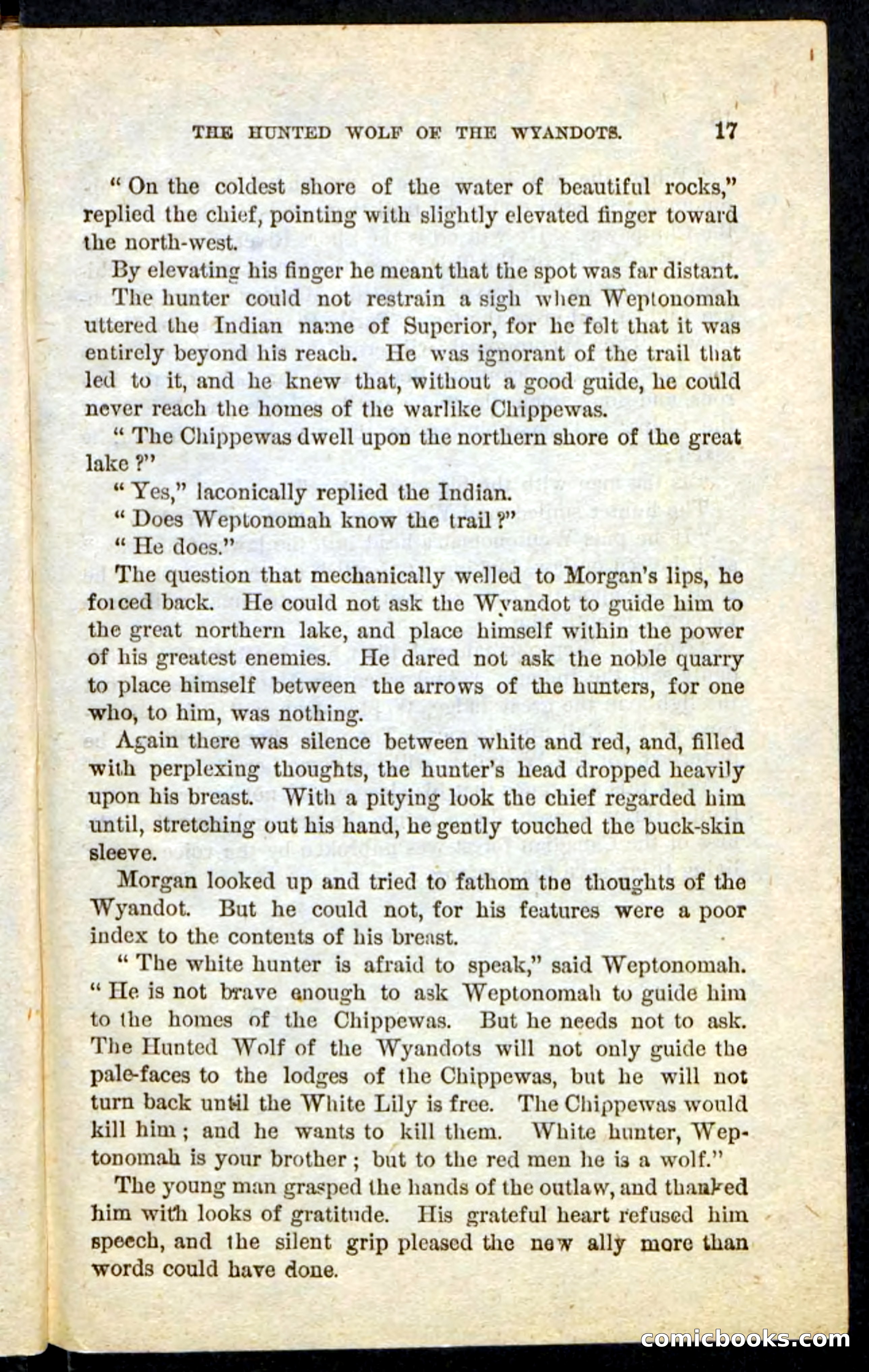 The Lone Indian — page 13 of 100