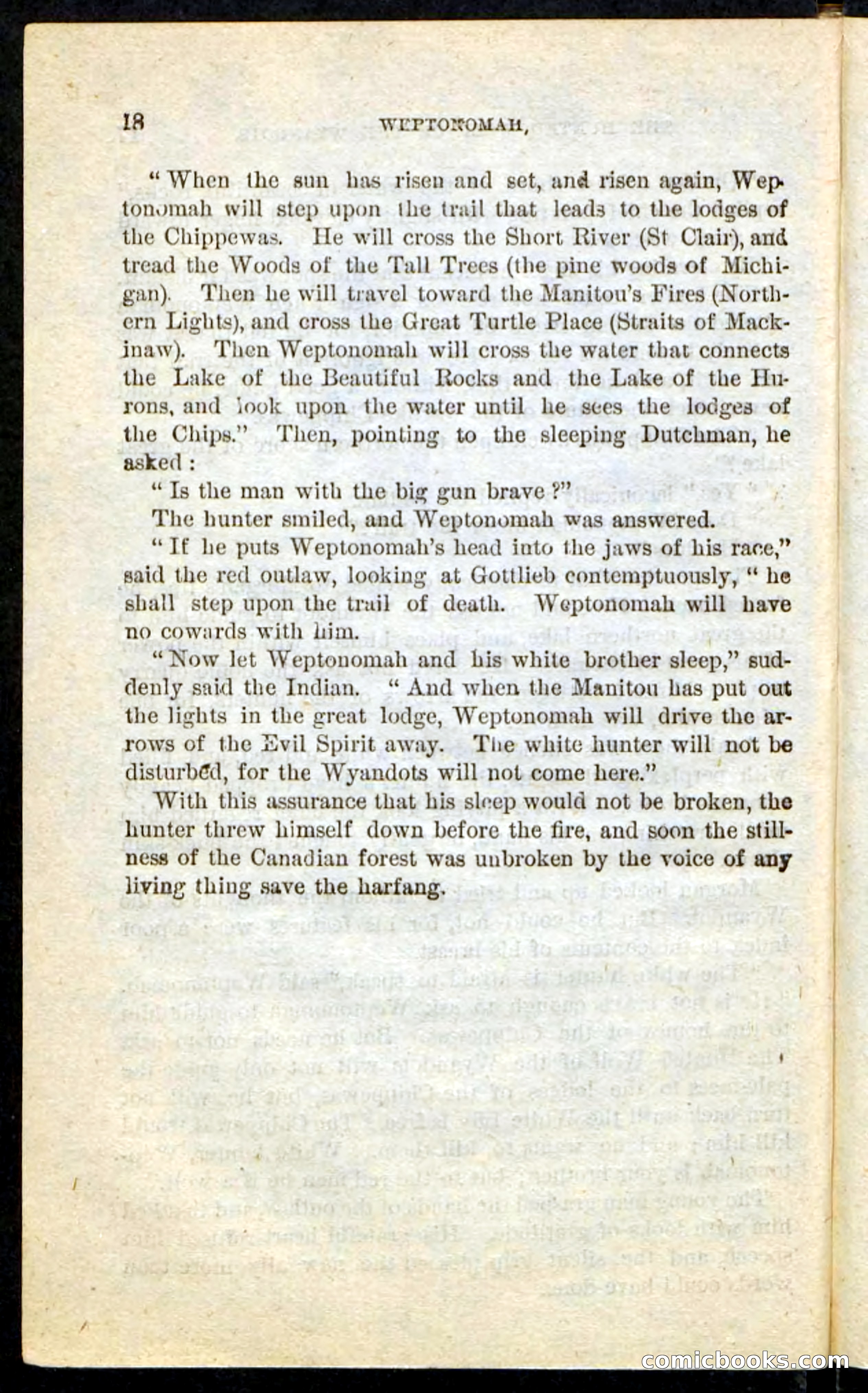 The Lone Indian — page 14 of 100