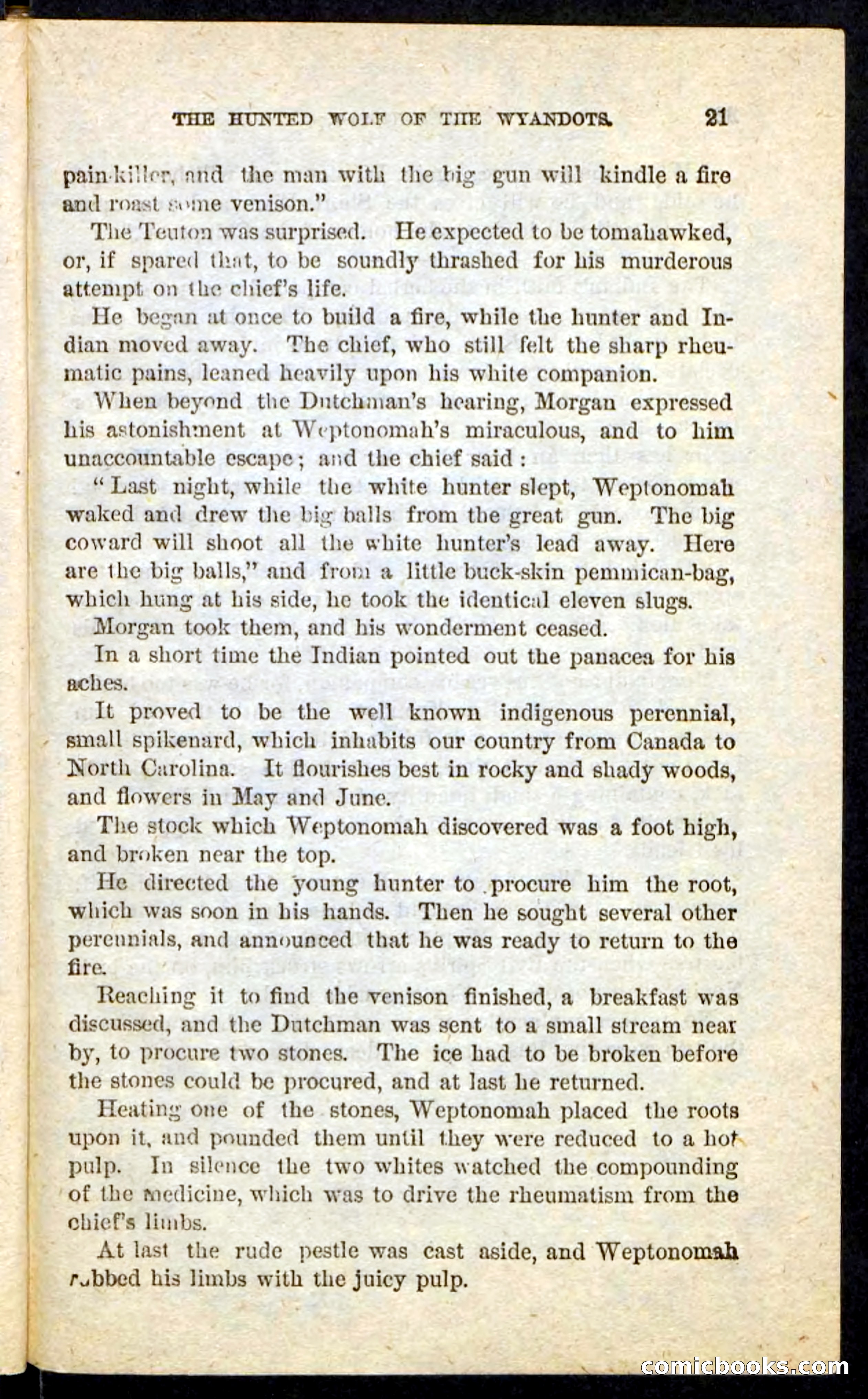 The Lone Indian — page 17 of 100