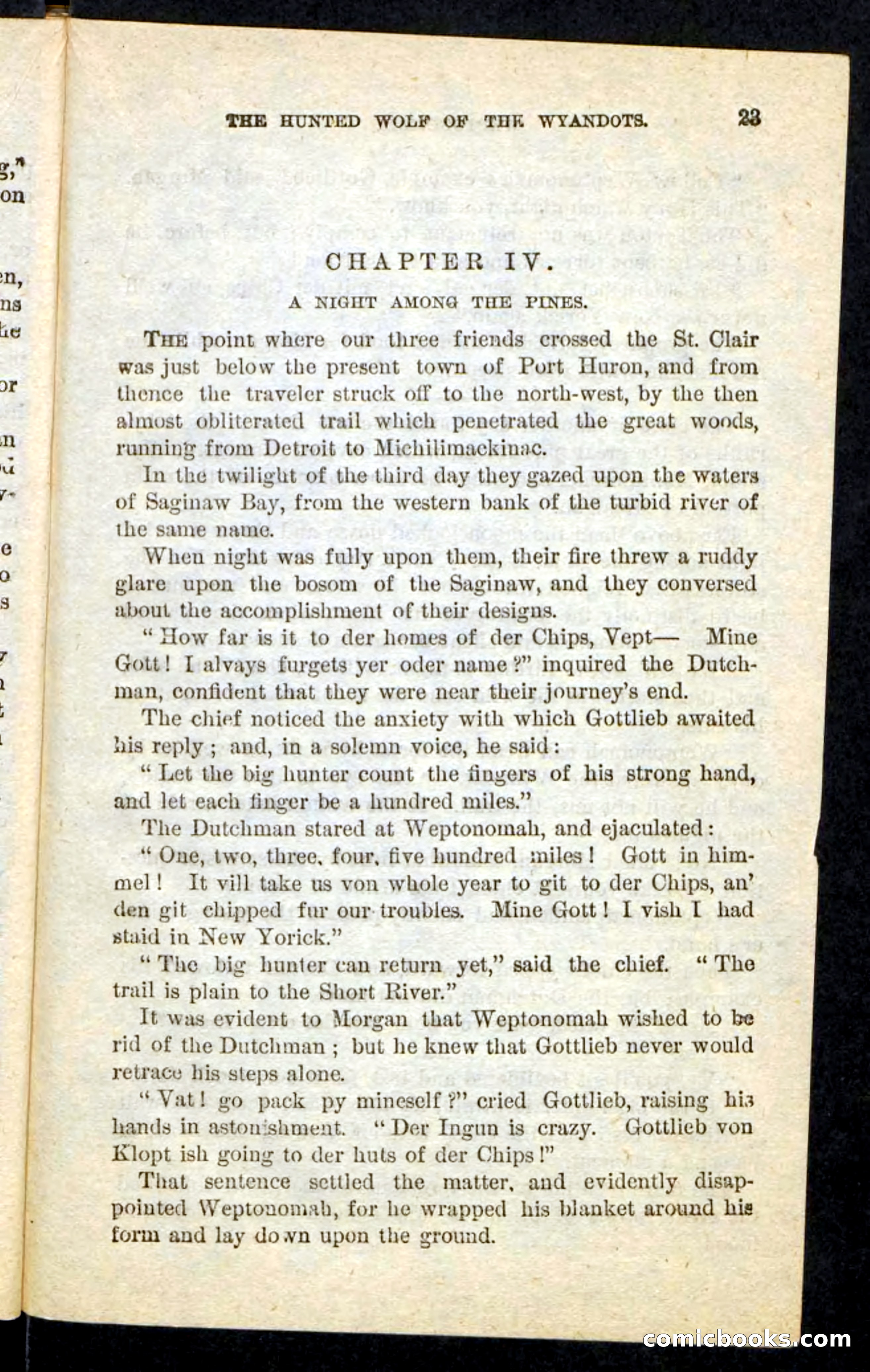 The Lone Indian — page 19 of 100