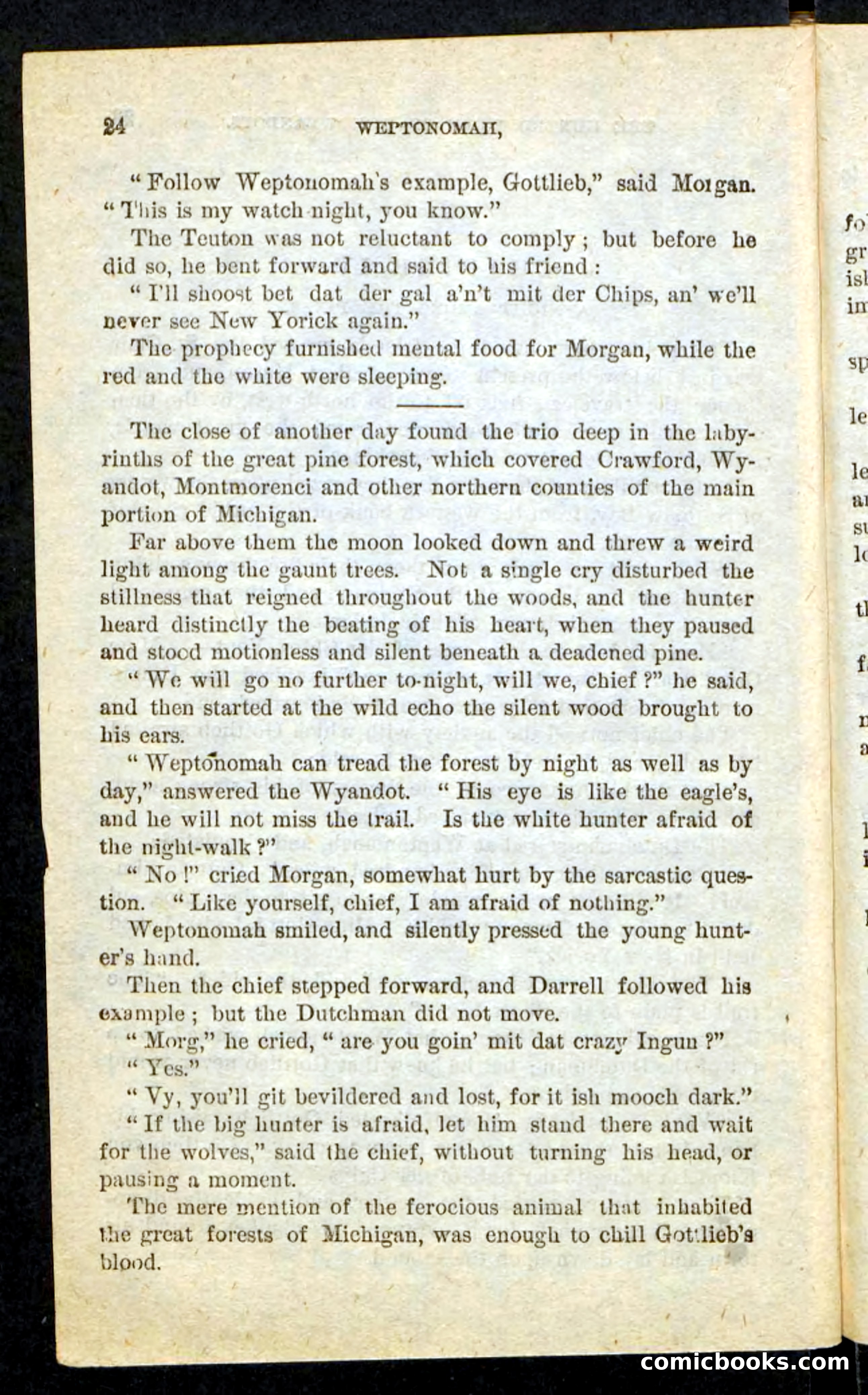 The Lone Indian — page 20 of 100