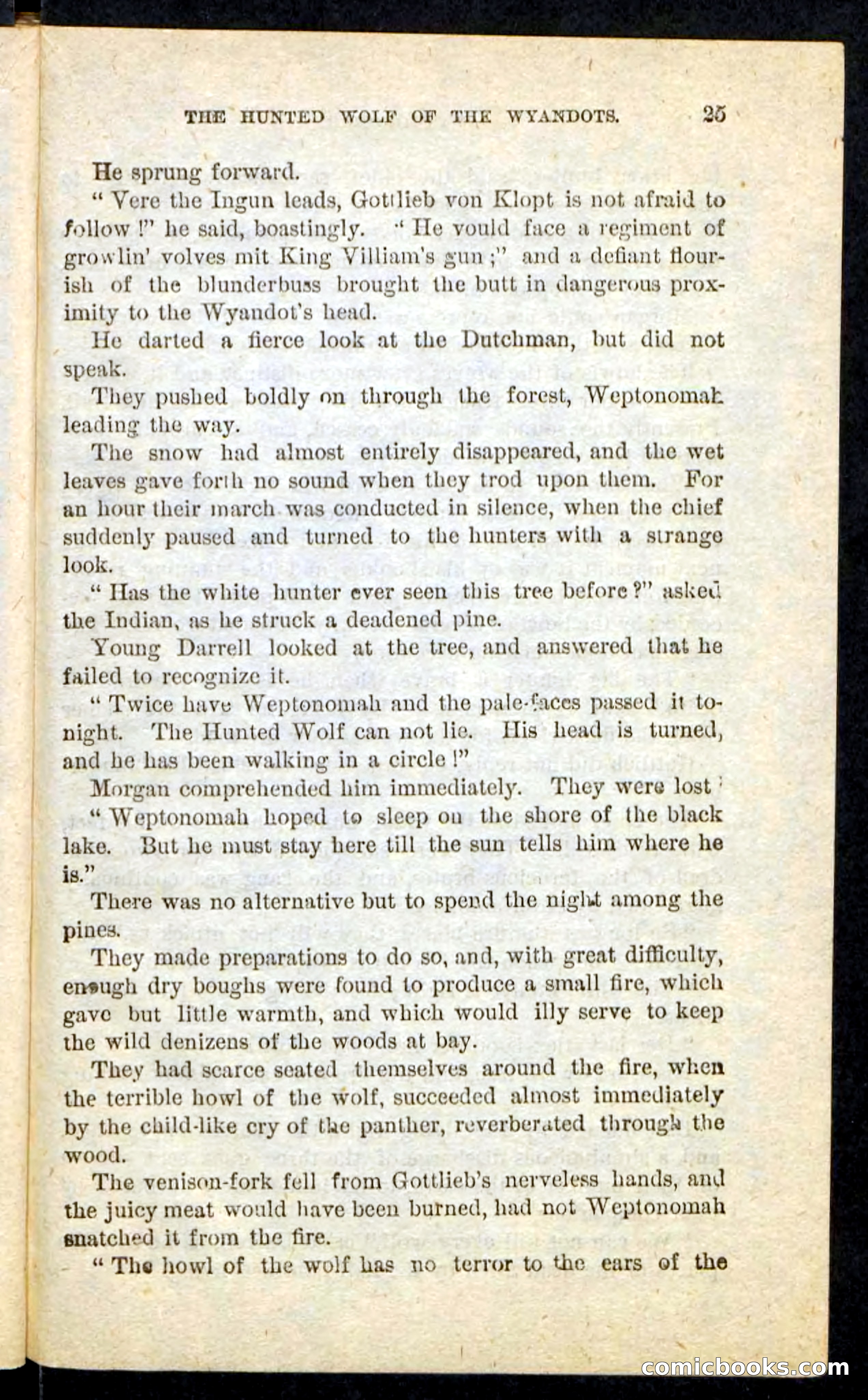 The Lone Indian — page 21 of 100
