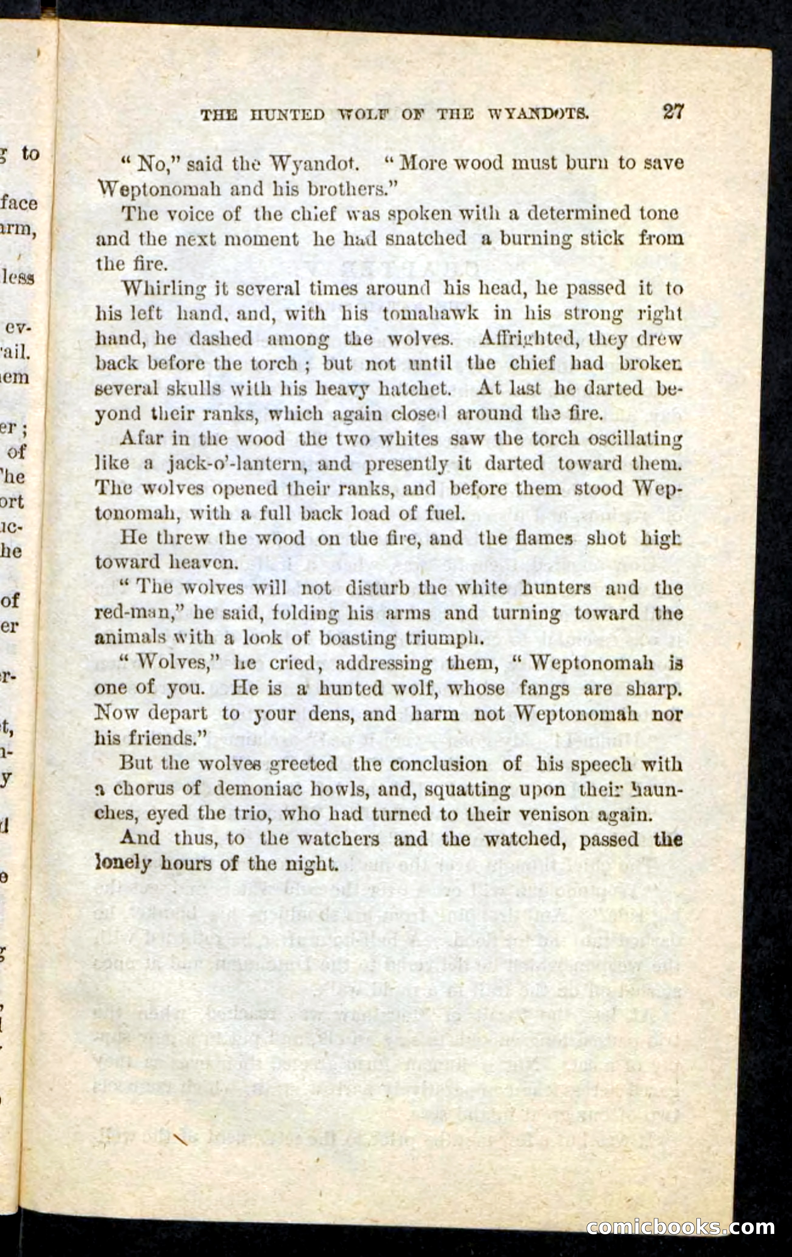 The Lone Indian — page 23 of 100