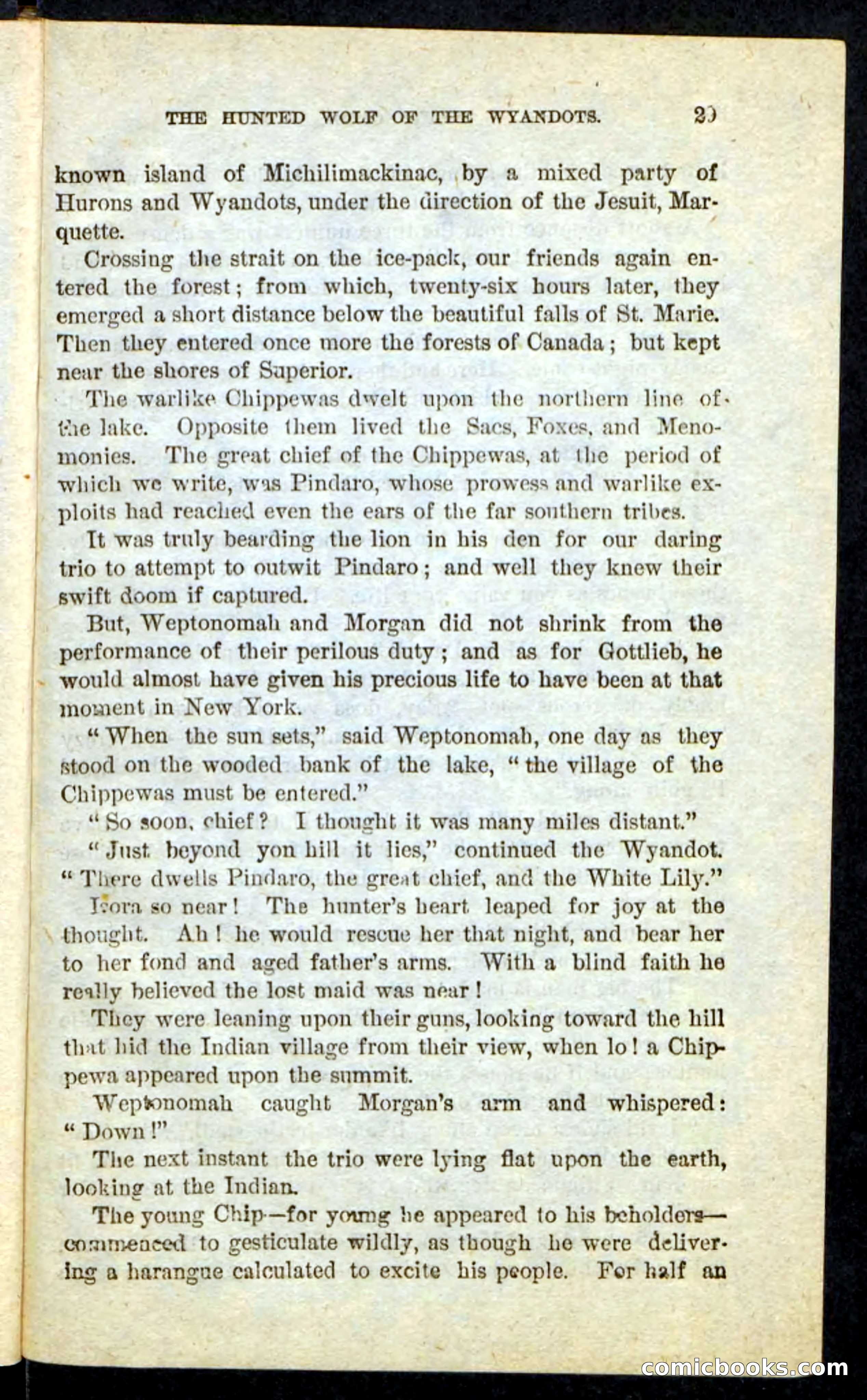 The Lone Indian — page 25 of 100