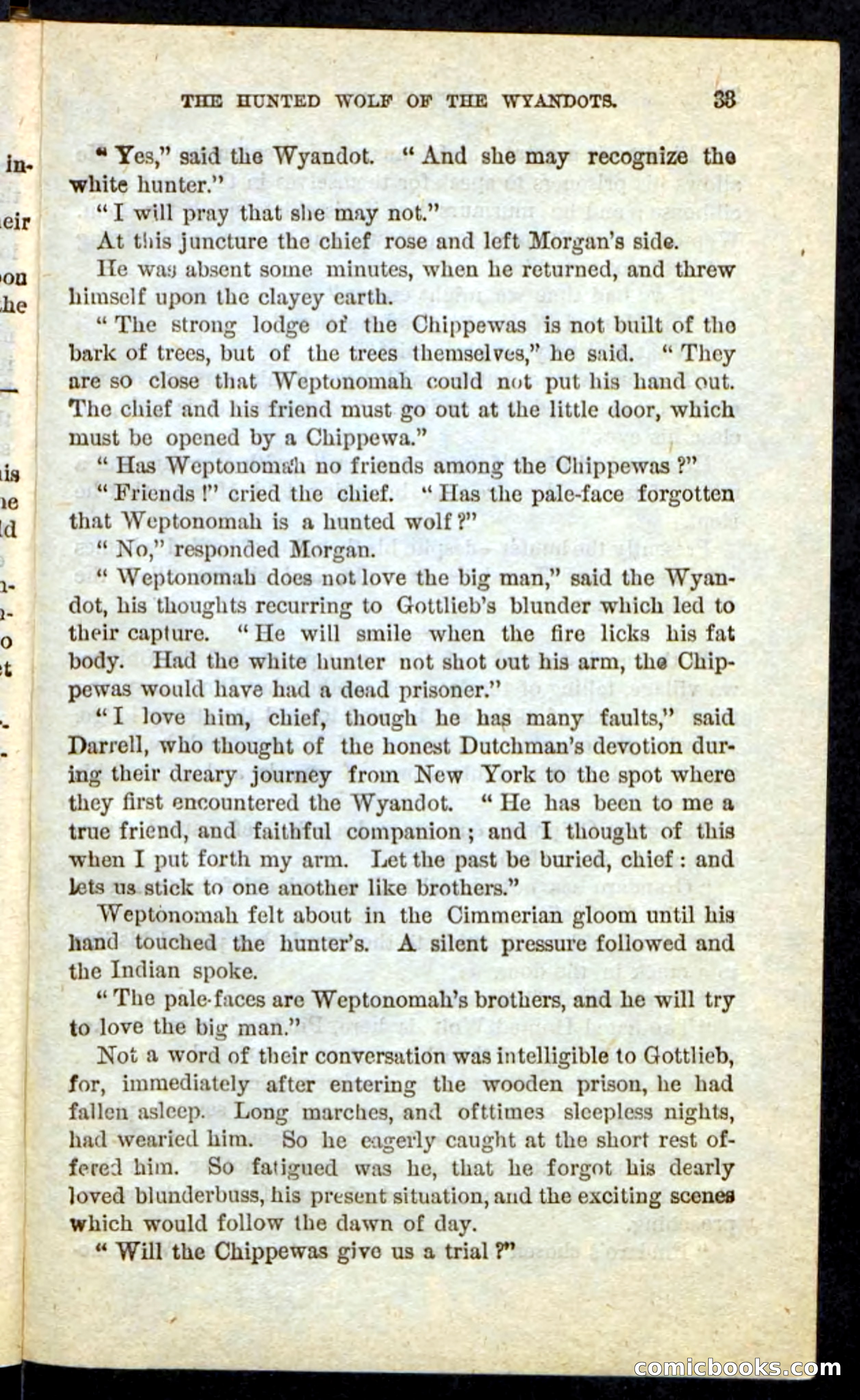 The Lone Indian — page 29 of 100