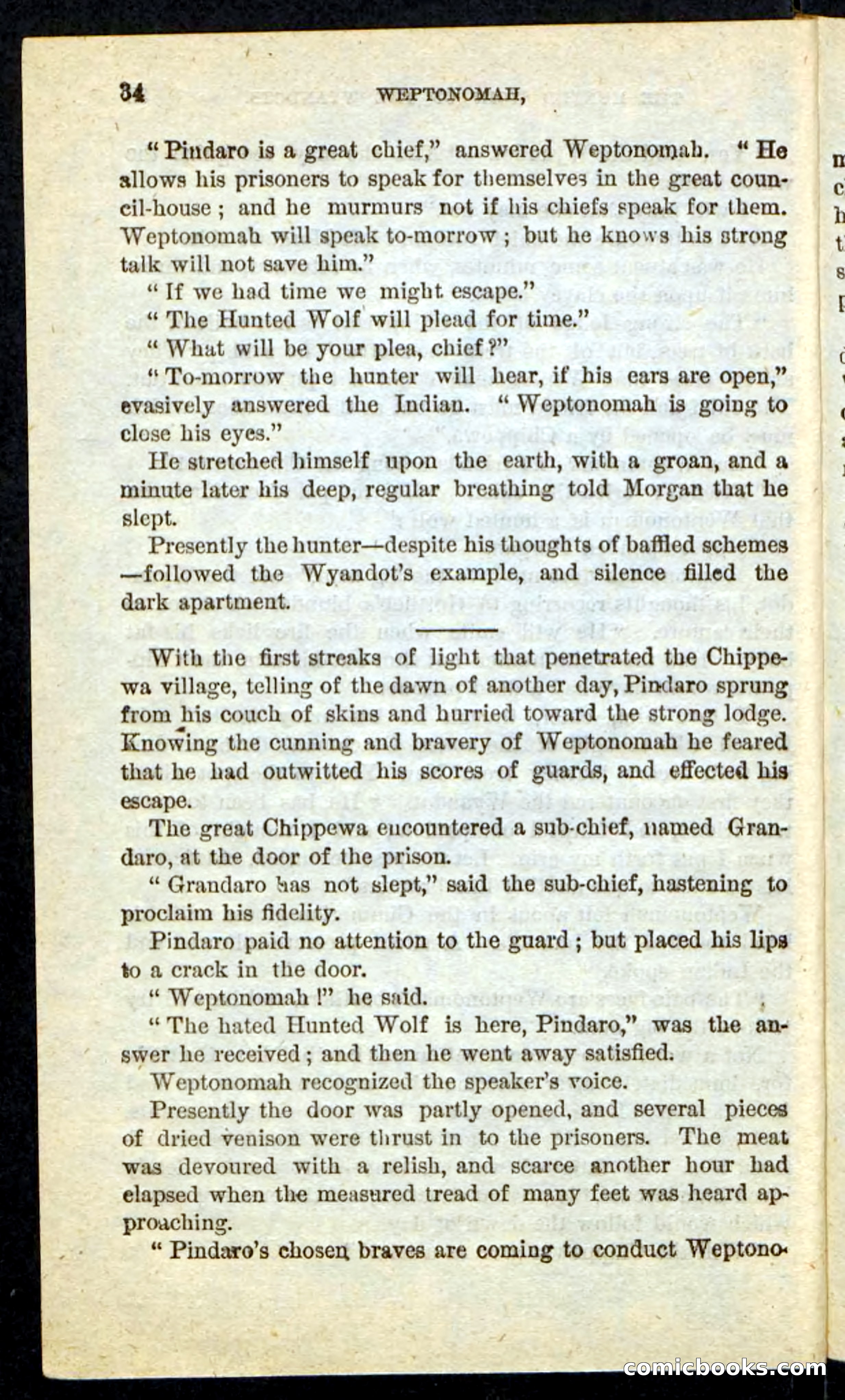 The Lone Indian — page 30 of 100