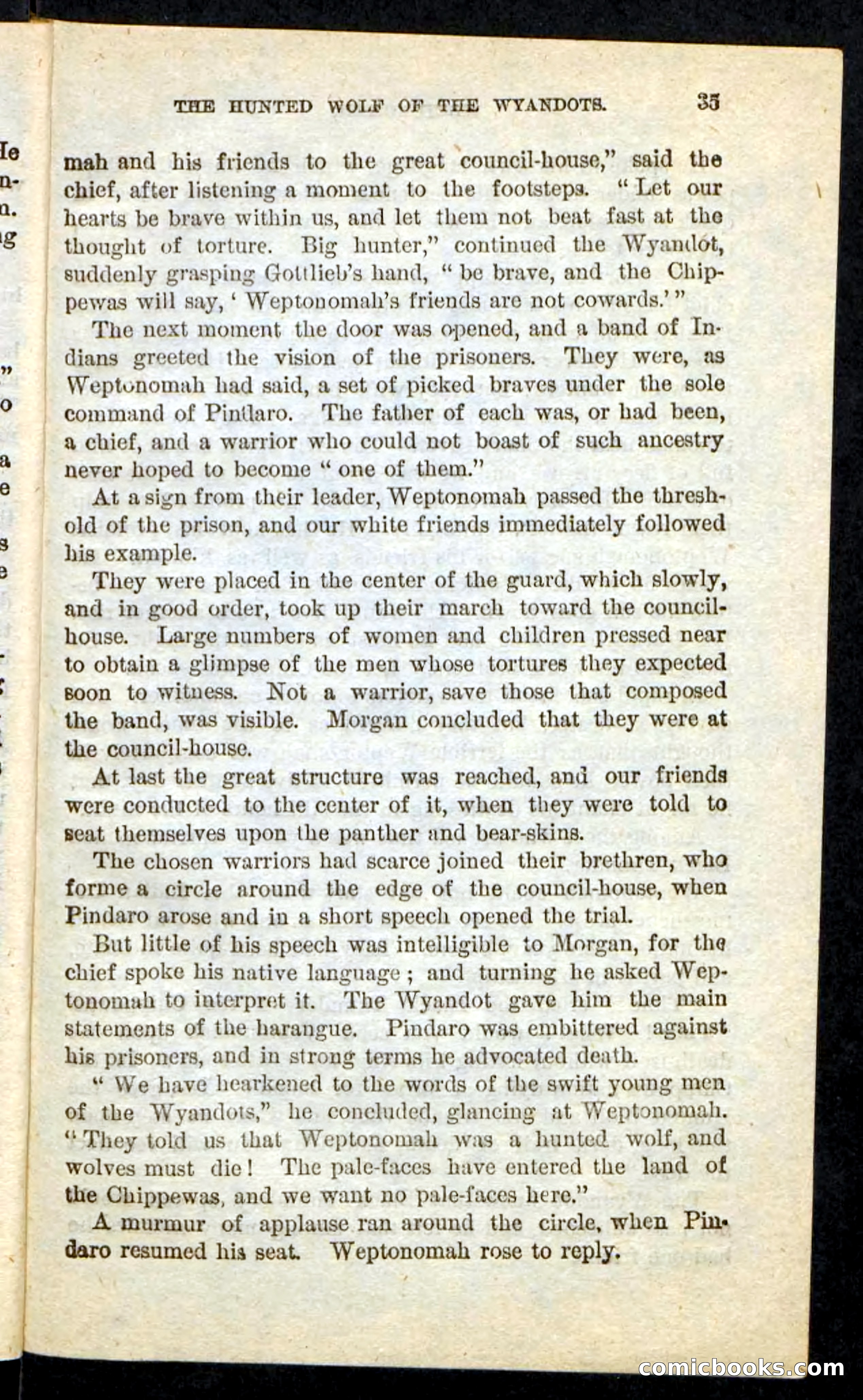 The Lone Indian — page 31 of 100