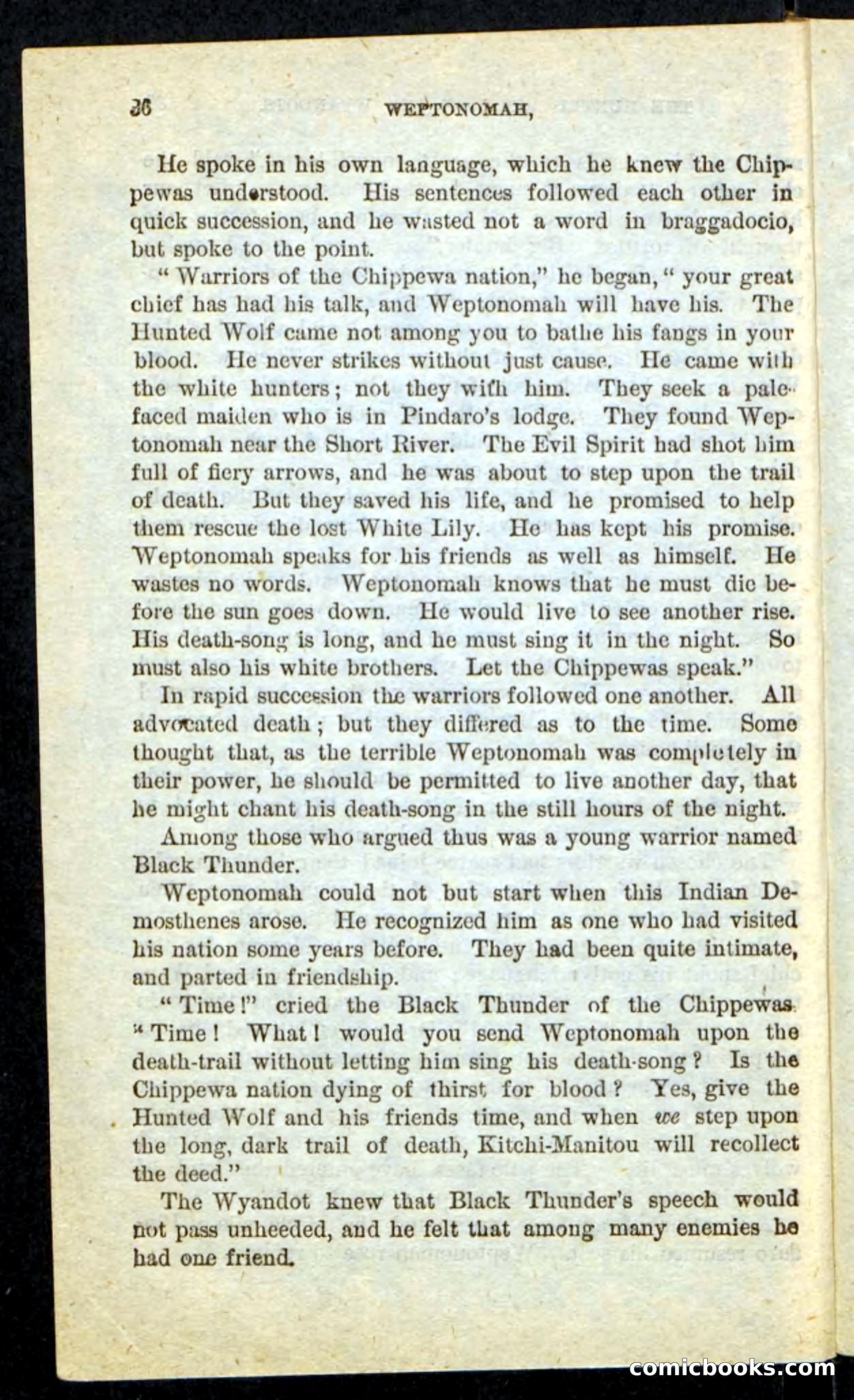 The Lone Indian — page 32 of 100