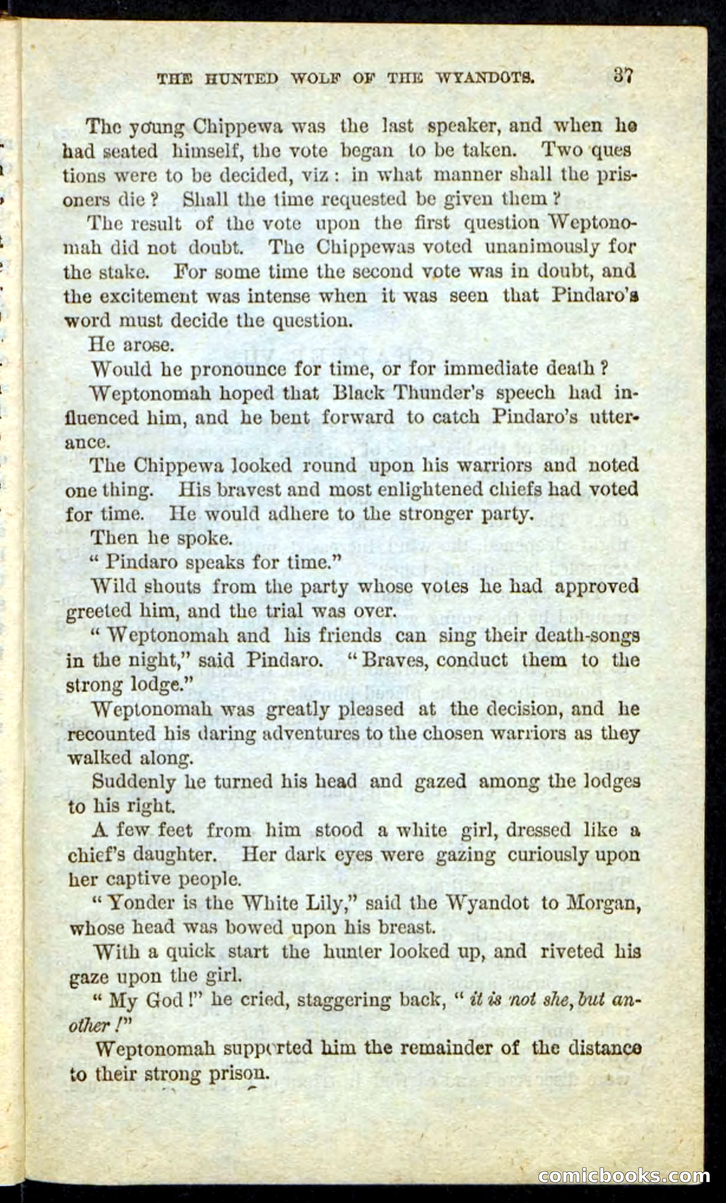 The Lone Indian — page 33 of 100