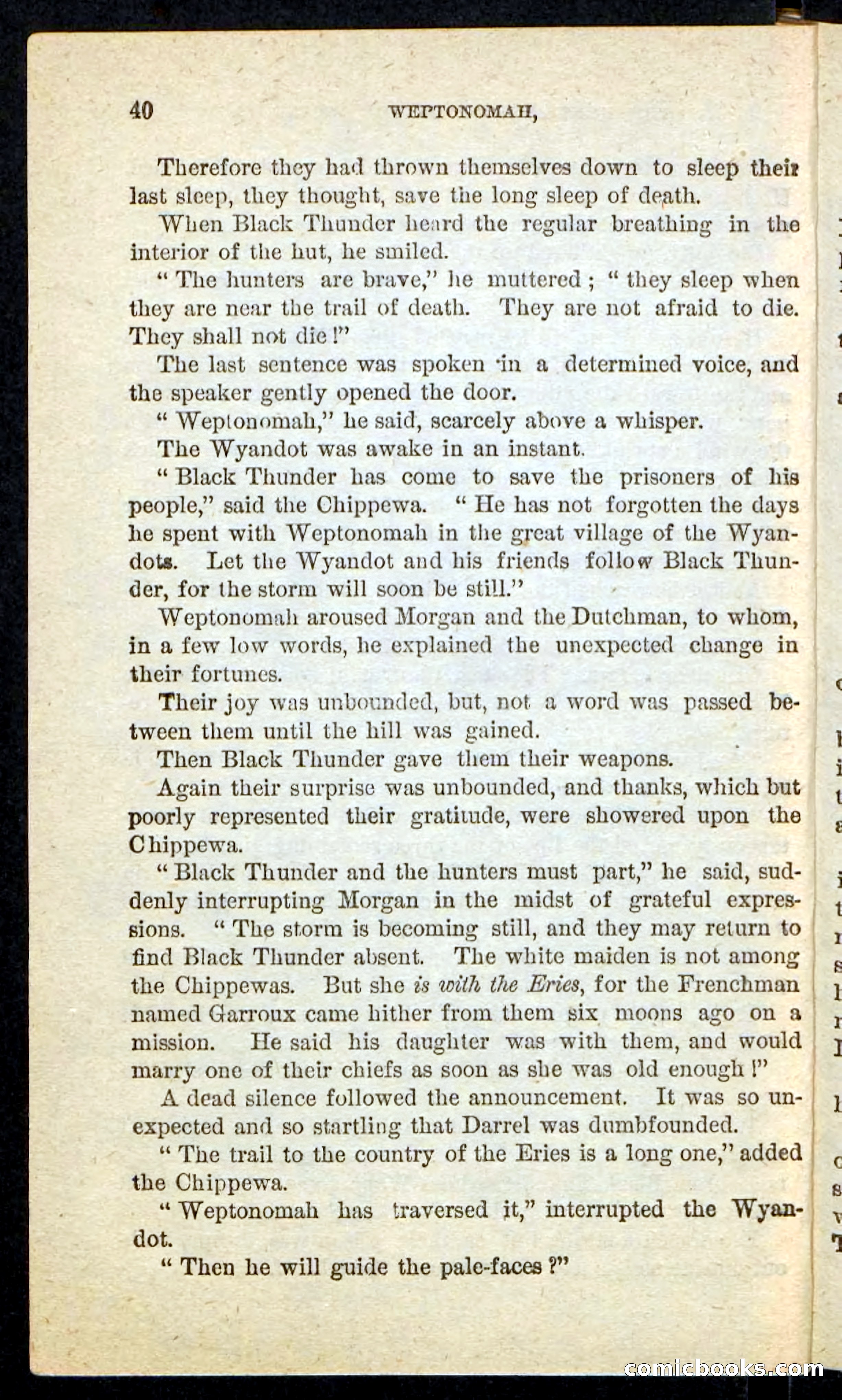 The Lone Indian — page 36 of 100