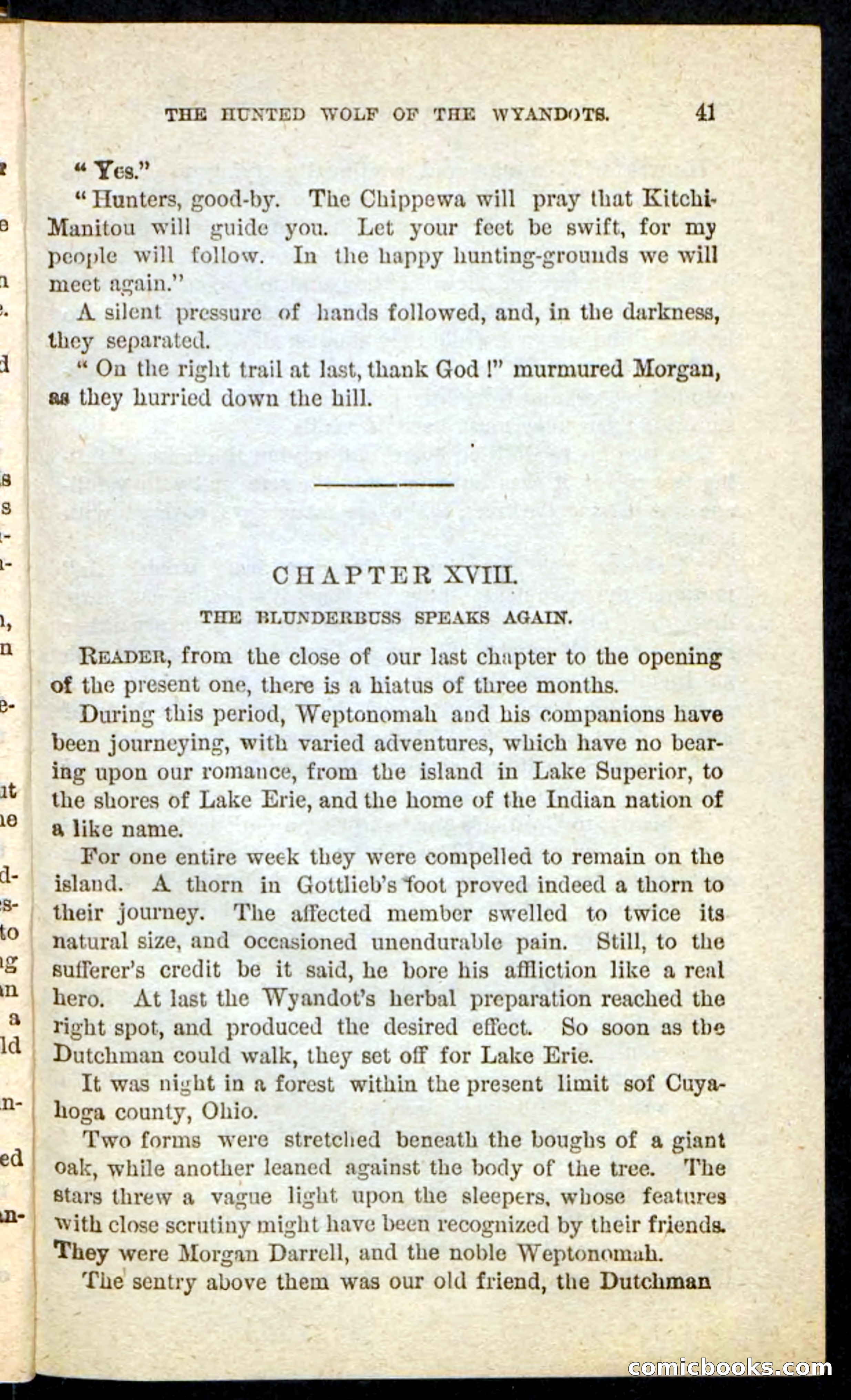 The Lone Indian — page 37 of 100
