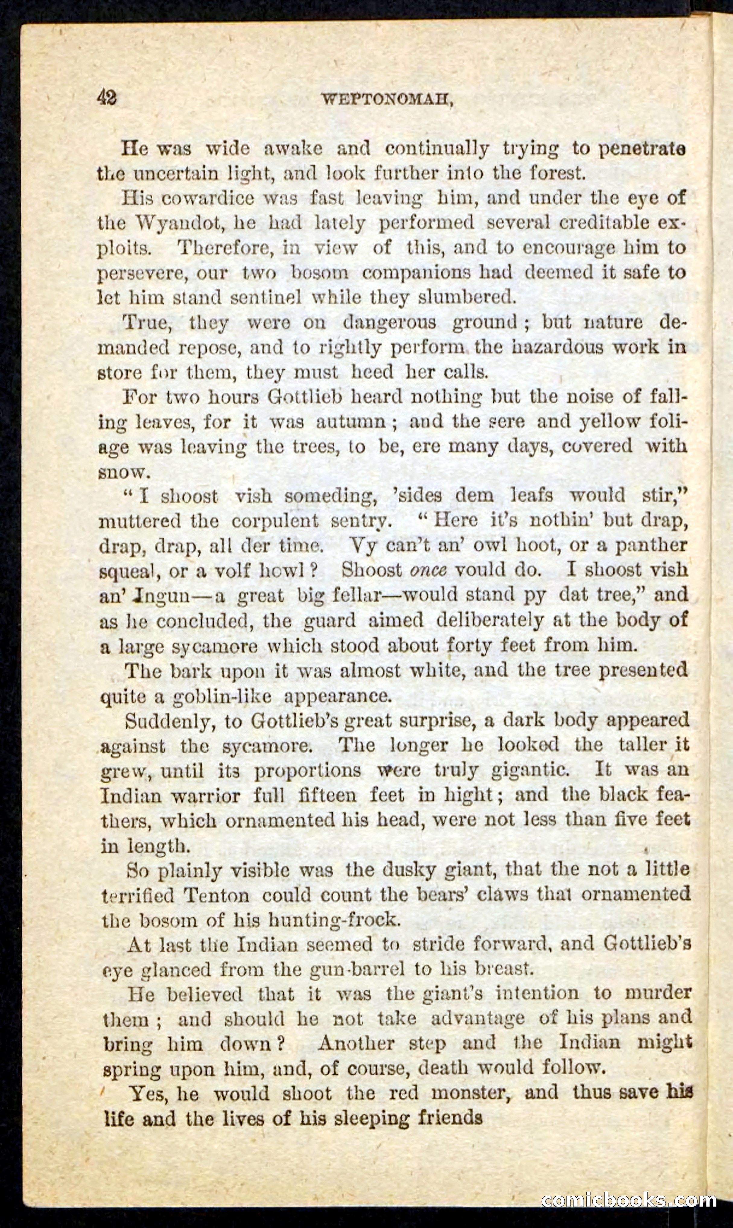 The Lone Indian — page 38 of 100