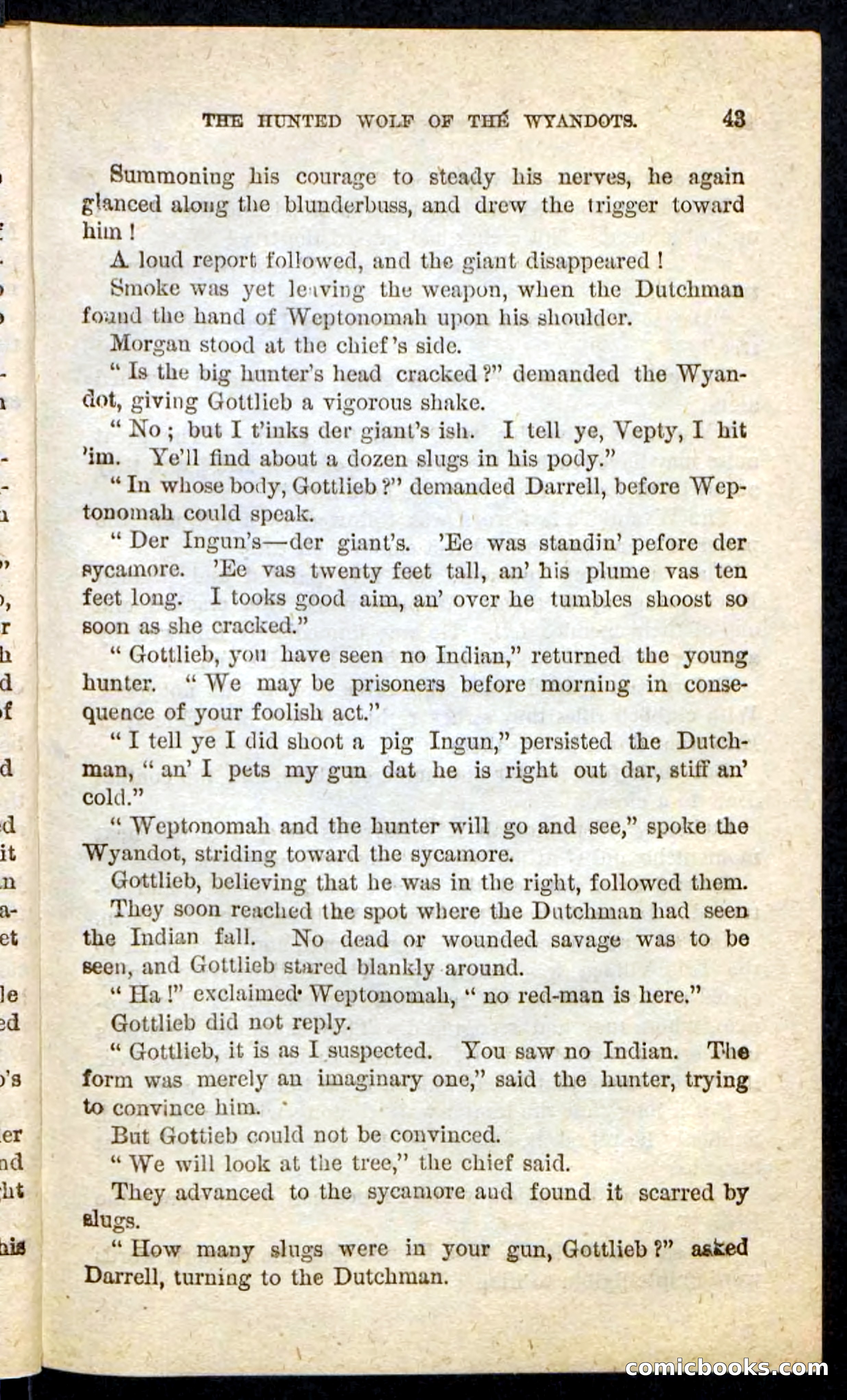 The Lone Indian — page 39 of 100