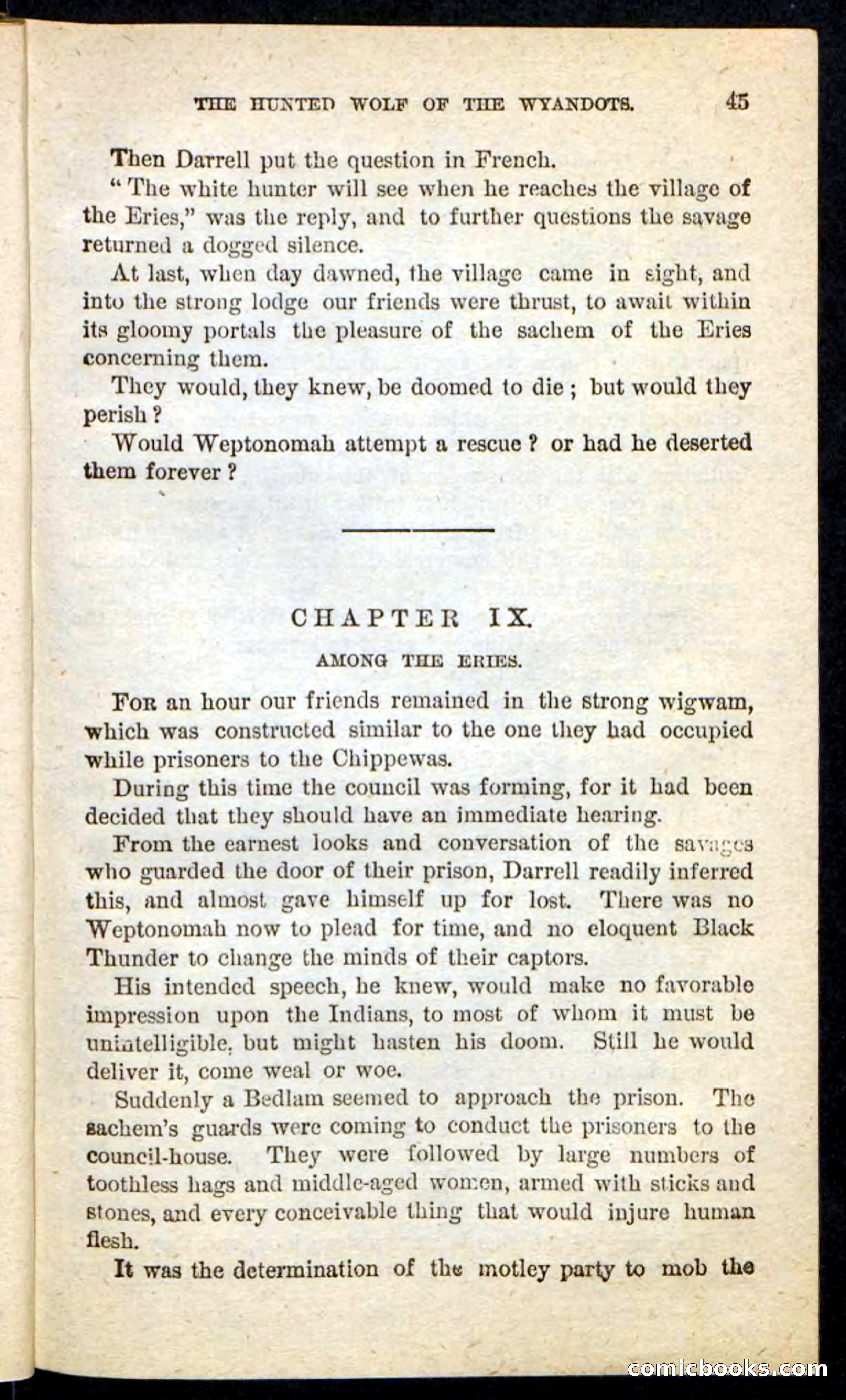 The Lone Indian — page 41 of 100