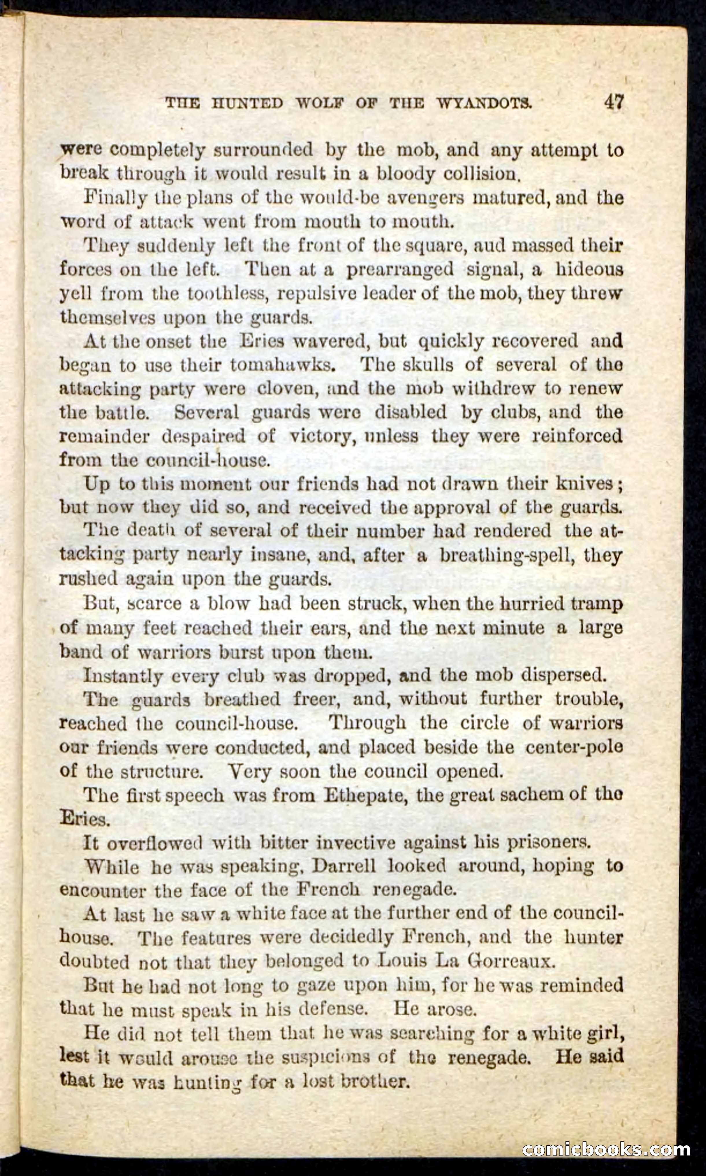 The Lone Indian — page 43 of 100